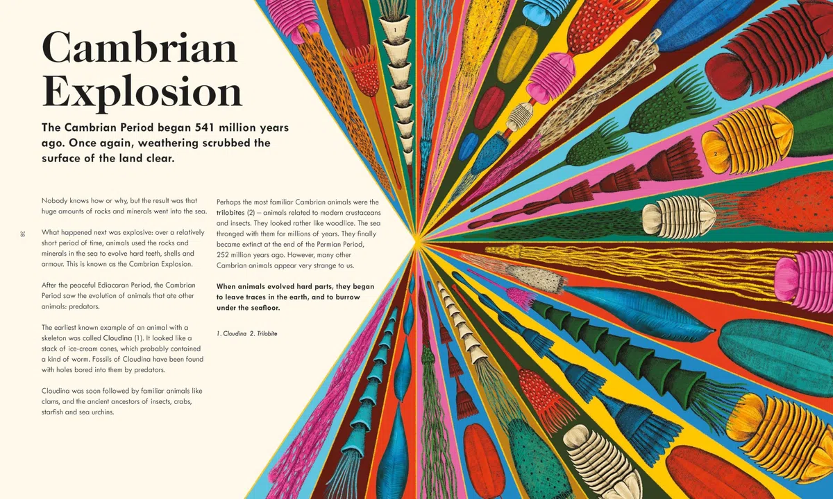 The Wonder of Life on Earth: A beautifully illustrated story of our planet, evolution and you, by the winner of the Royal Society Science Book Prize