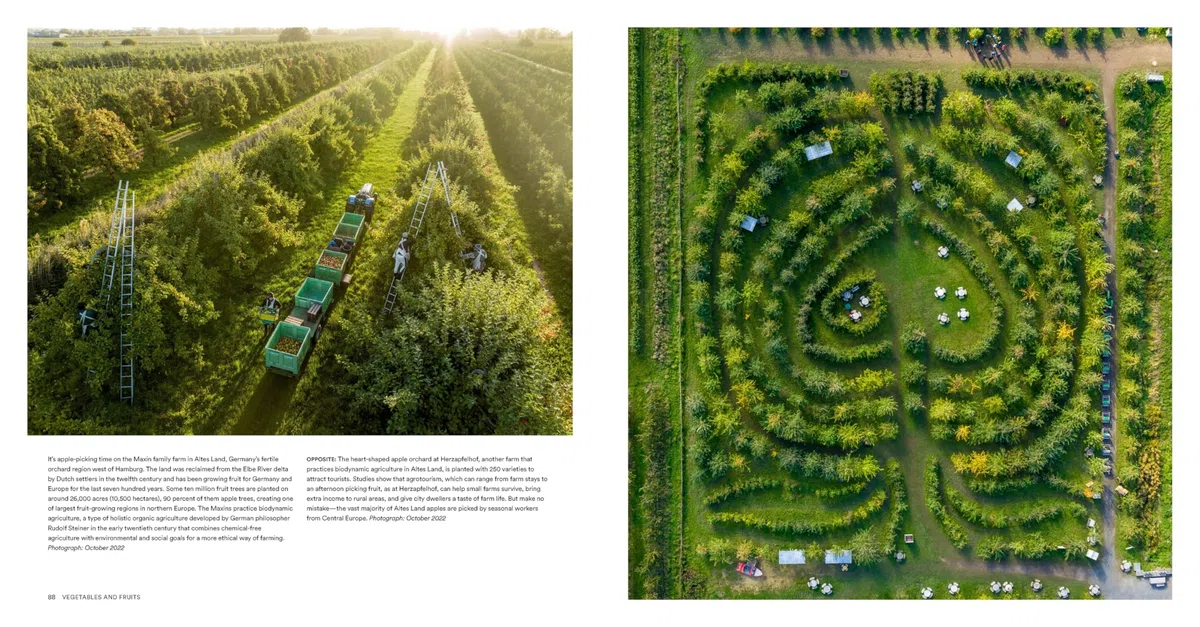 Feed the Planet: A Photographic Journey to the World's Food