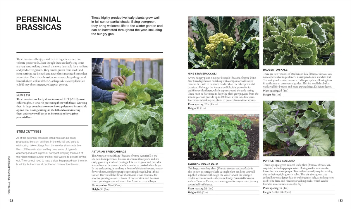The Permaculture Garden: A Practical, Holistic Approach to Year-Round Harvests