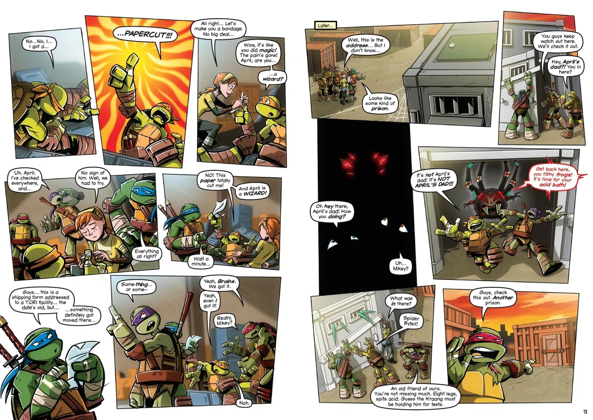 Teenage Mutant Ninja Turtles: The Booyakasha Books, Vol. 1