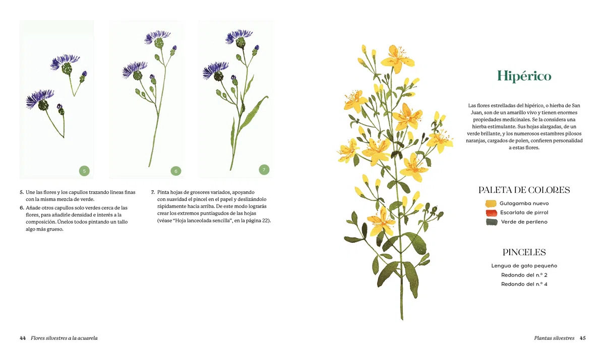 Flores silvestres a la acuarela: Manual de pintura botánica para principiantes (DIBUJO, ILUSTRACION Y ACUARELA)
