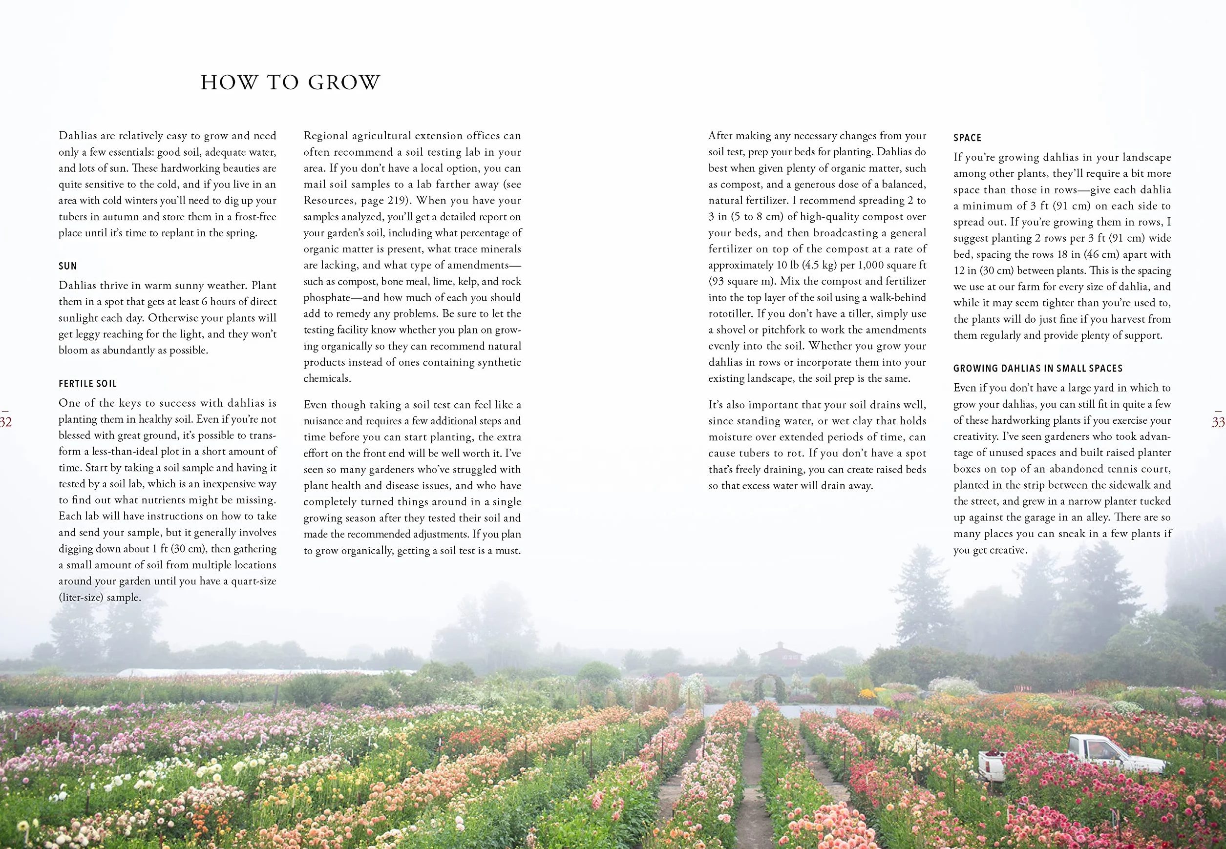 Floret farm's discovering dahlias: a guide to growing and arranging magnifcent blooms