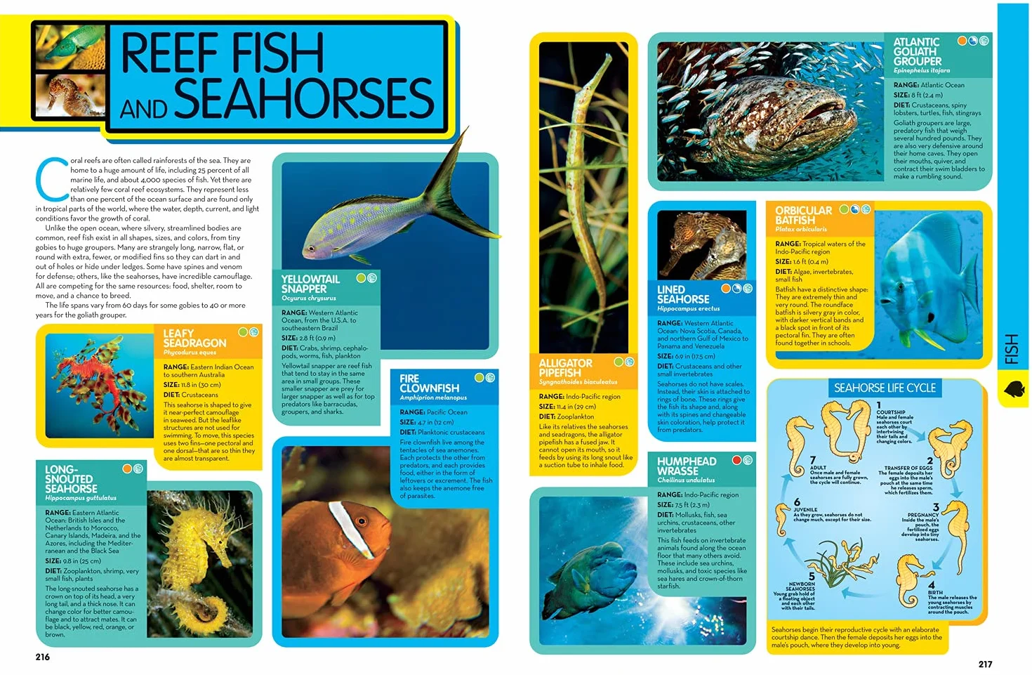 National Geographic Kids Animal Encyclopedia 2nd edition: 2,500 Animals with Photos, Maps, and More!