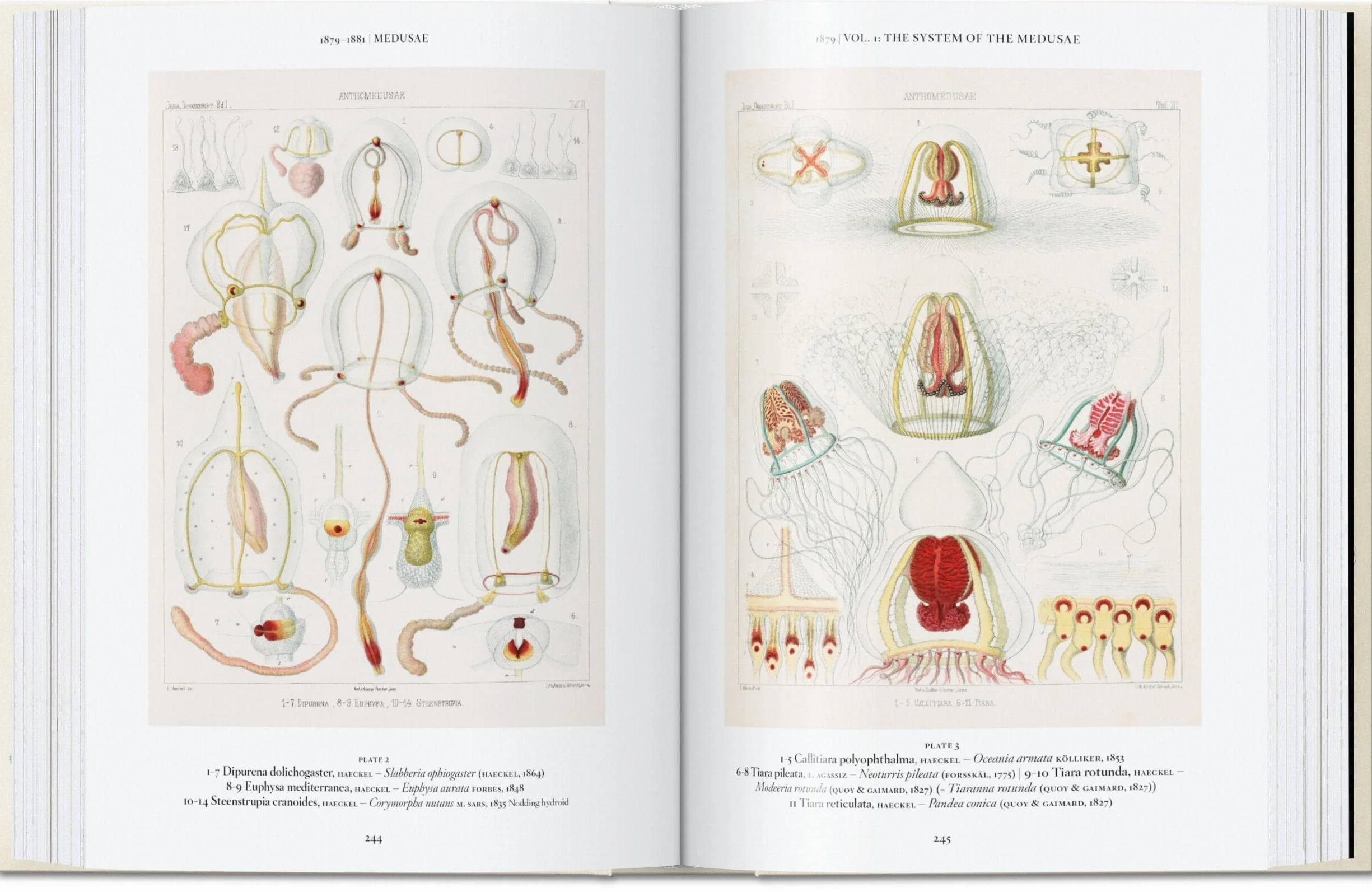 Ernst Haeckel – 40Th Anniversary Edition: 45th Ed. (45th Edition)