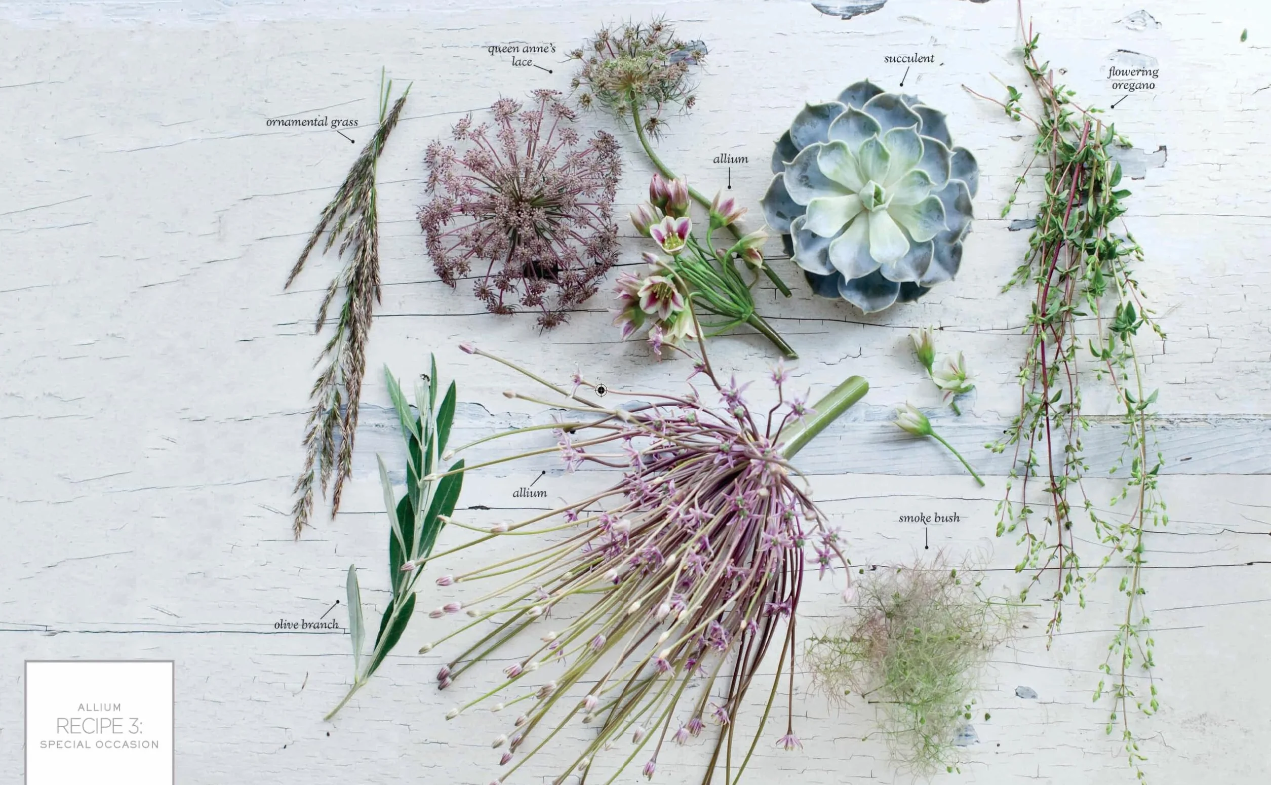 The Flower Recipe Book: 125 Step-by-Step Arrangements for Everyday Occasions