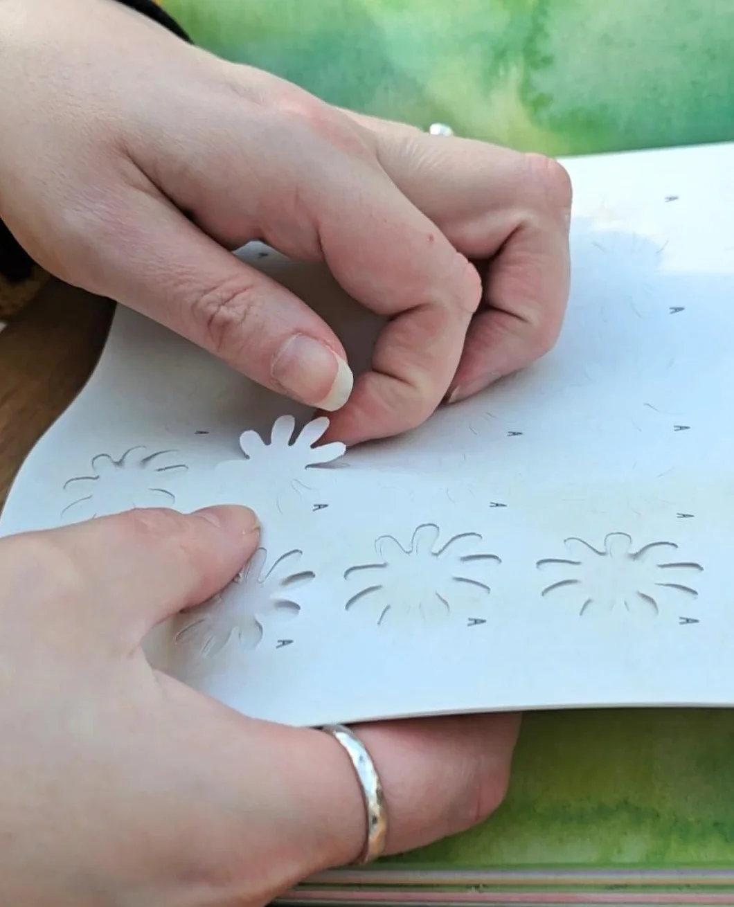 The Bouquet in a Book: Pre-punched pages to press out and make paper flowers: 1