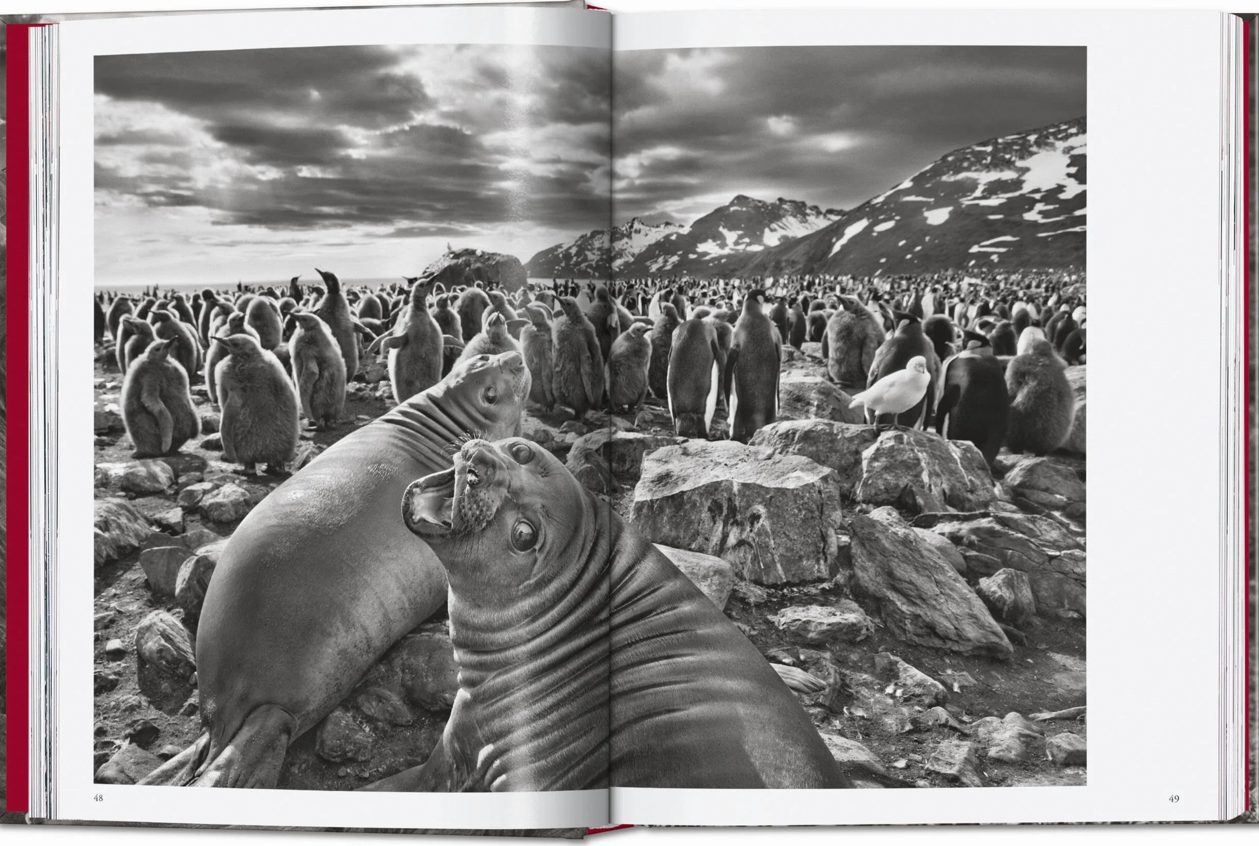 Sebastião Salgado: Genesis. 45th Ed. (45th Edition)