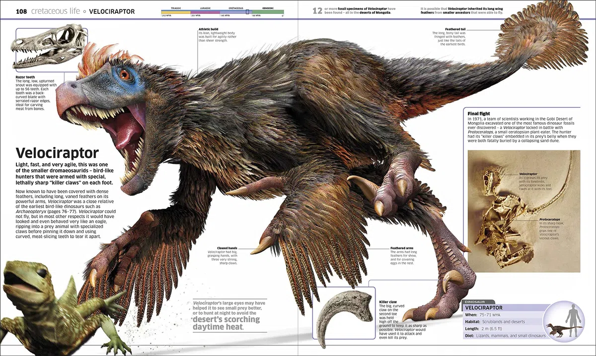 DINOSAURIOS: Más de 60 criaturas prehistóricas como nunca antes las habías visto (Enciclopedia visual juvenil)