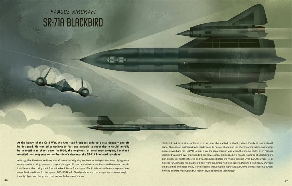 Aviation: A Visual History of Aircraft (Locomotion)