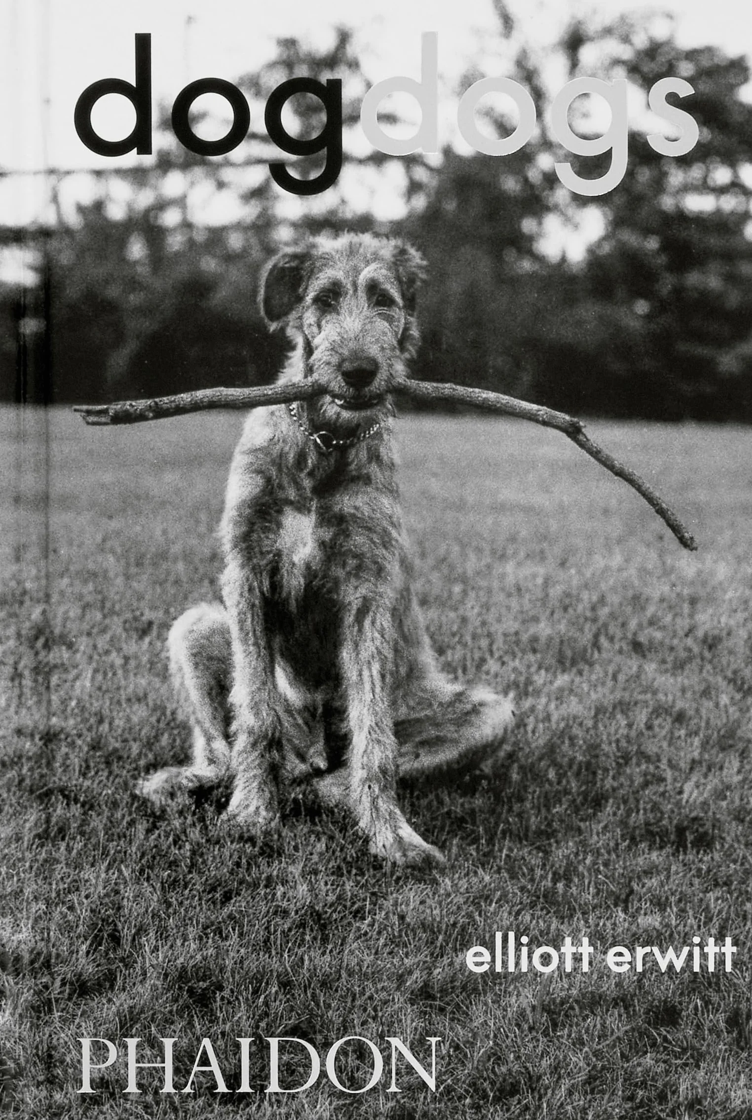 Dogdogs (PHOTOGRAPHY)