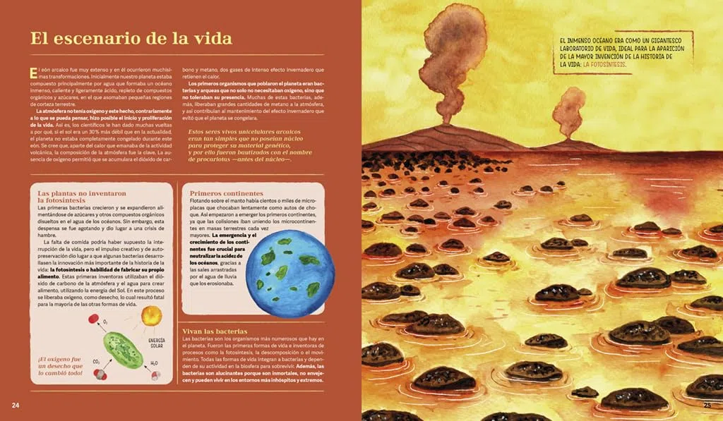 La historia más fascinante del mundo: Historia de la tierra comprimida en un reloj (No ficción infantil)