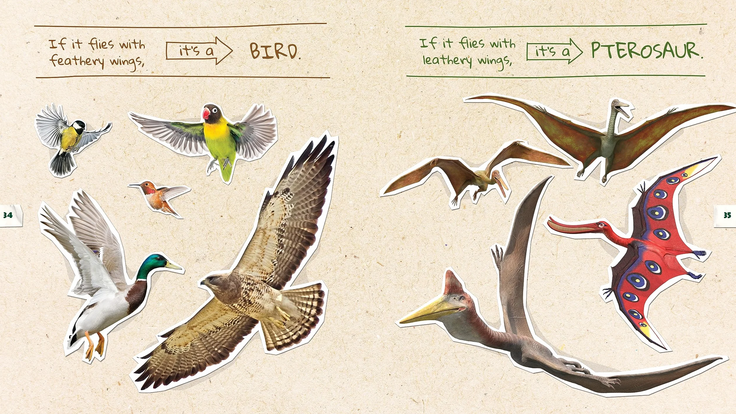 Dino Dana: Dino Field Guide: Pterosaurs and Other Prehistoric Creatures! (Dinosaurs for Kids, Science Book for Kids, Fossils, Prehistoric): 2