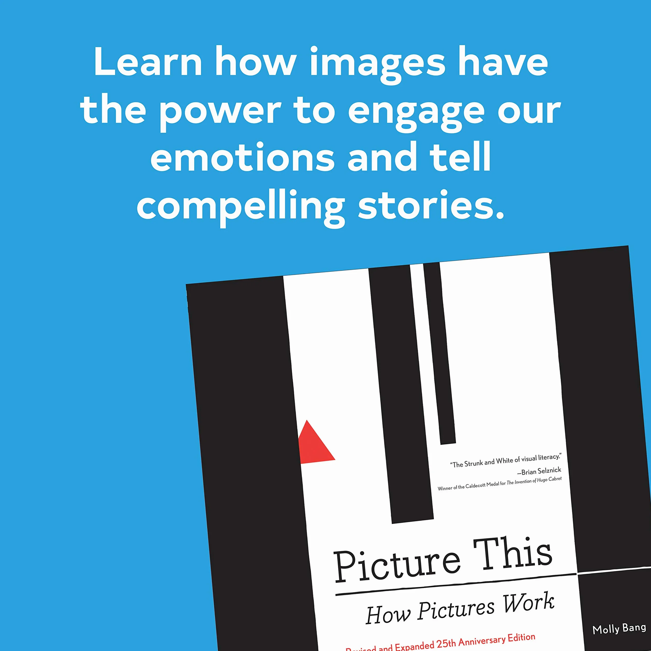 Picture This: How Pictures Work: How Pictures Workrevised and Expanded 25th Anniversary Edition: 1