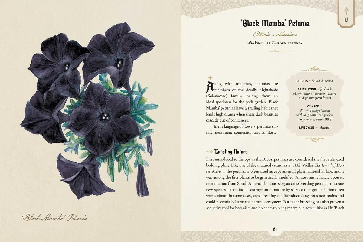 The Goth Garden: The Mystery, Beauty, and Lore of Dark Gardening