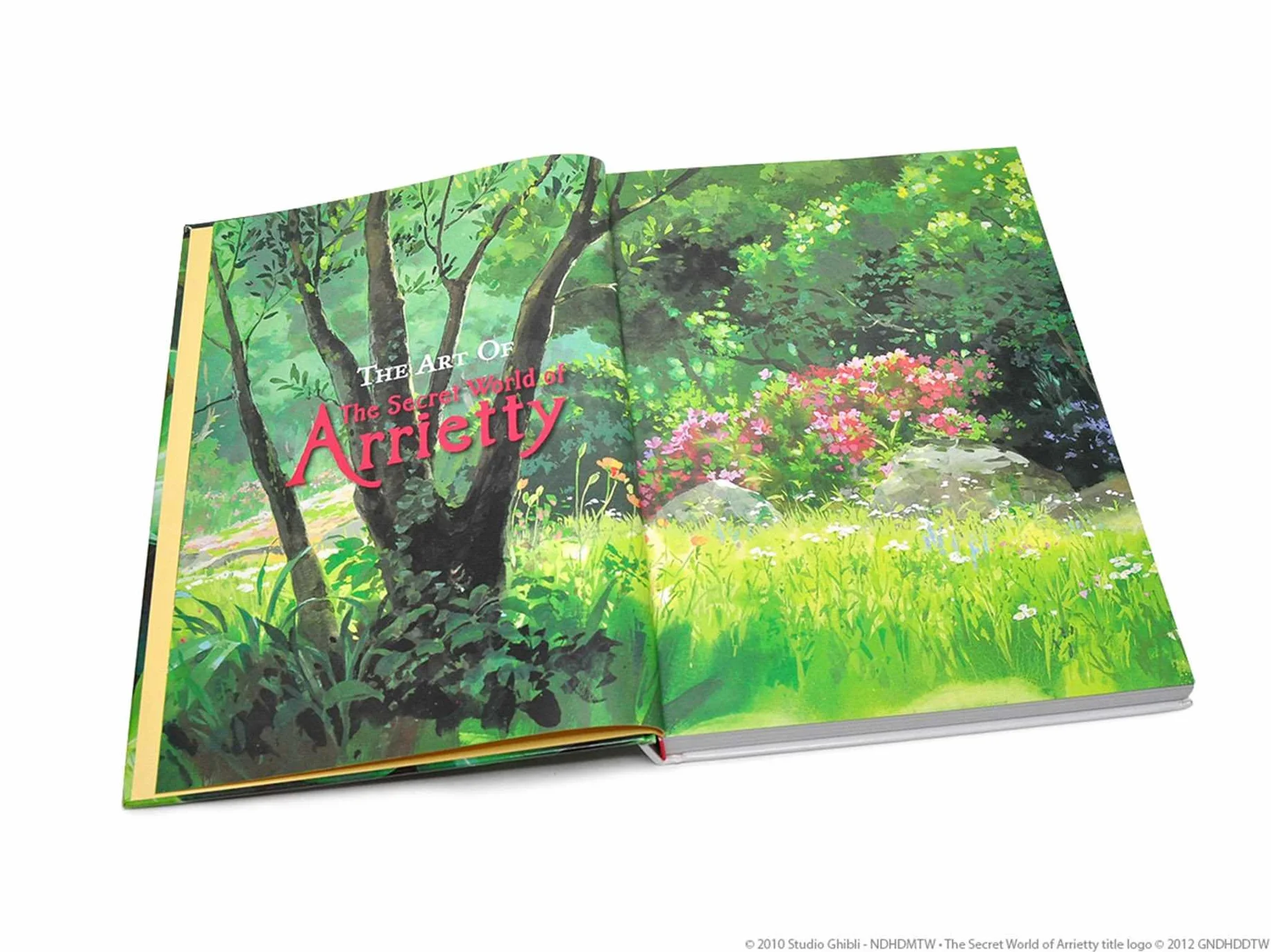 The Art of The Secret World of Arrietty