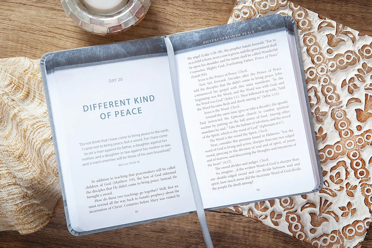 The Chosen Book Three: 40 Days with Jesus