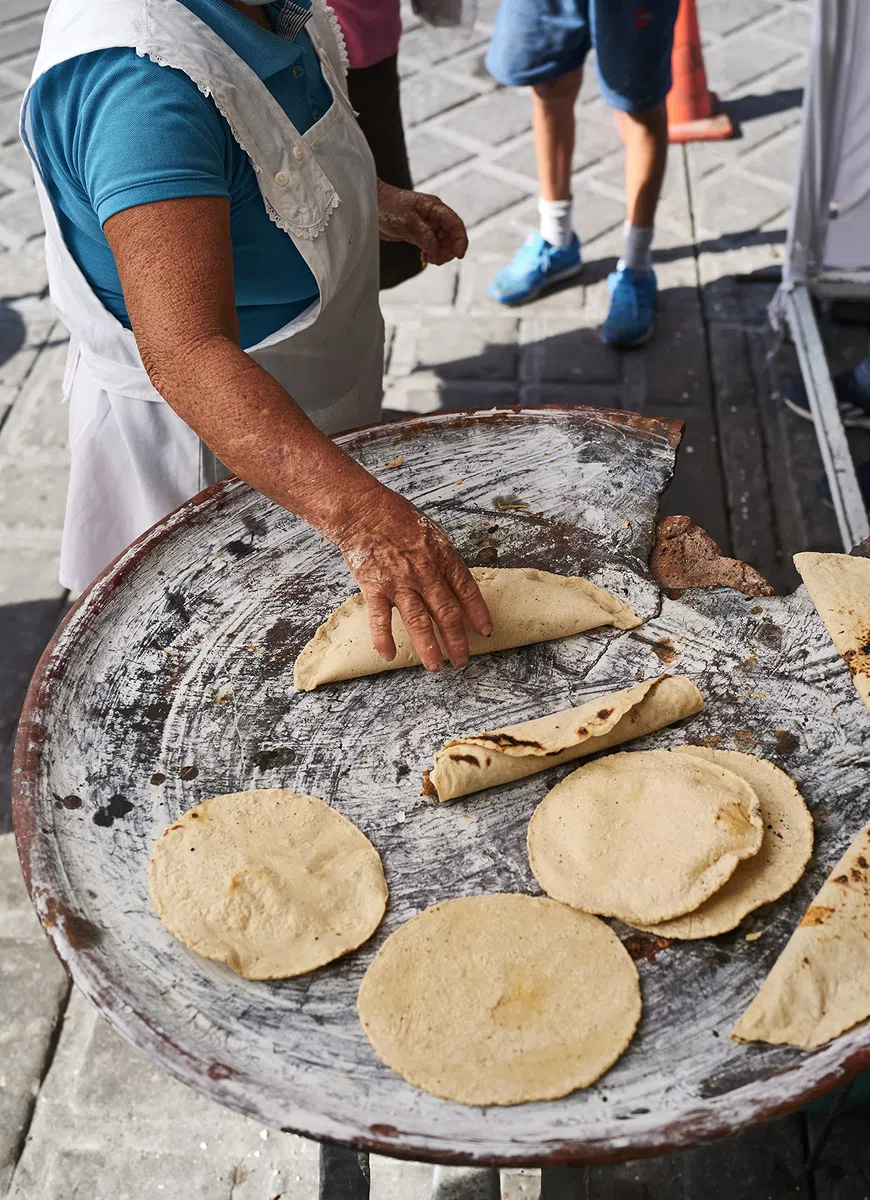 Masa: Recipes, and Reflections on a Timeless Staple