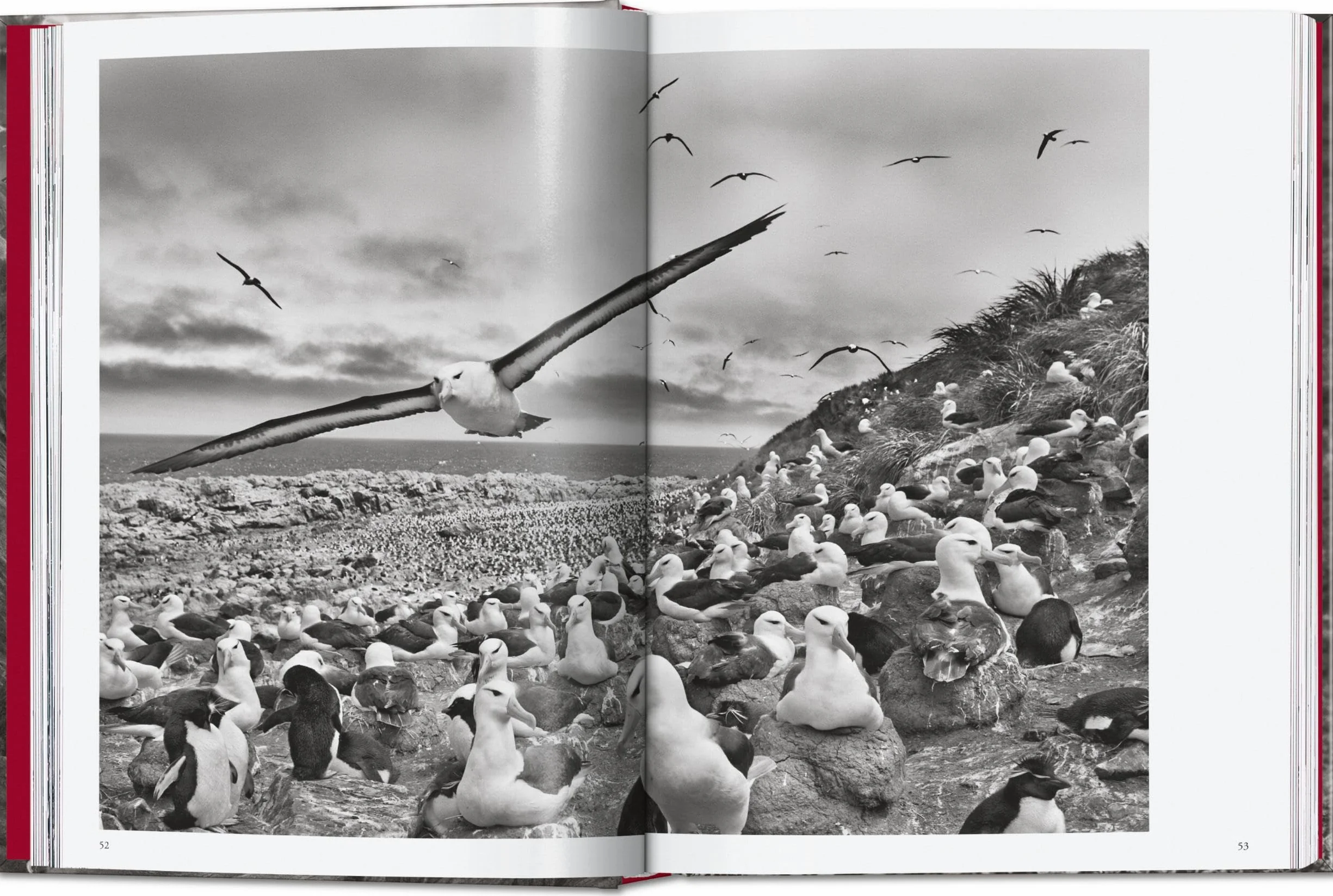 Sebastião Salgado: Genesis. 45th Ed. (45th Edition)