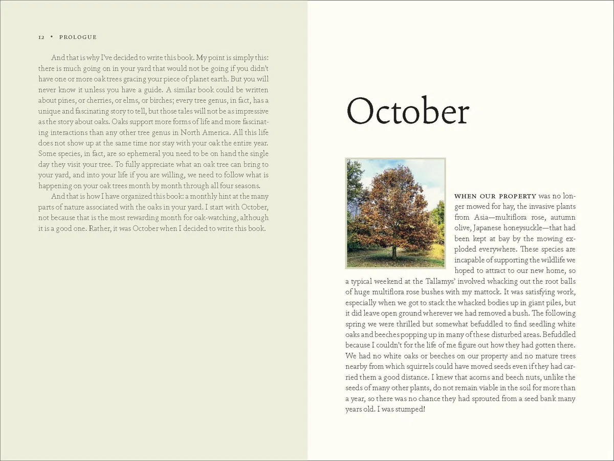 The Nature of Oaks: The Rich Ecology of Our Most Essential Native Trees
