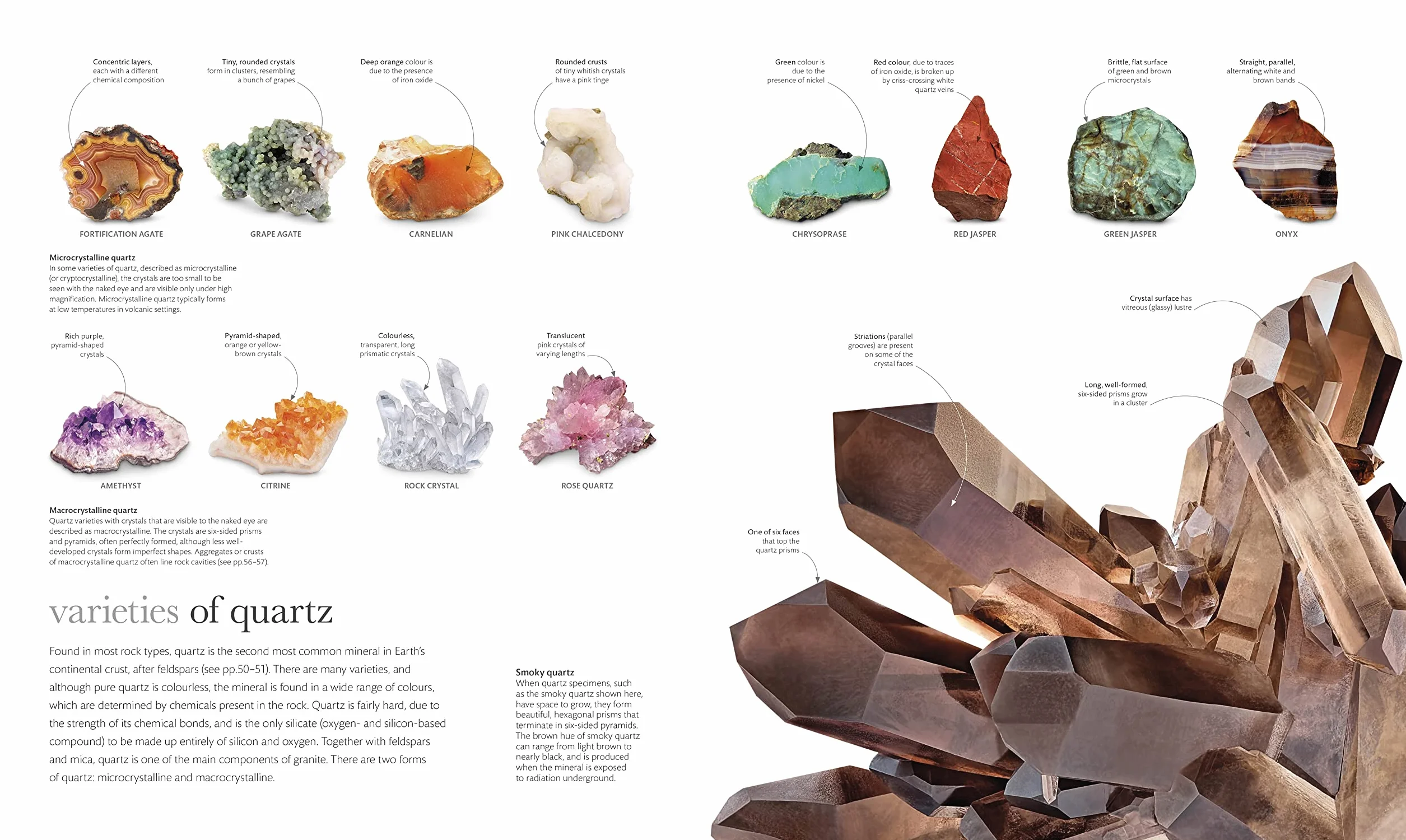 The Science of the Earth: The Secrets of Our Planet Revealed (DK Secret World Encyclopedias)
