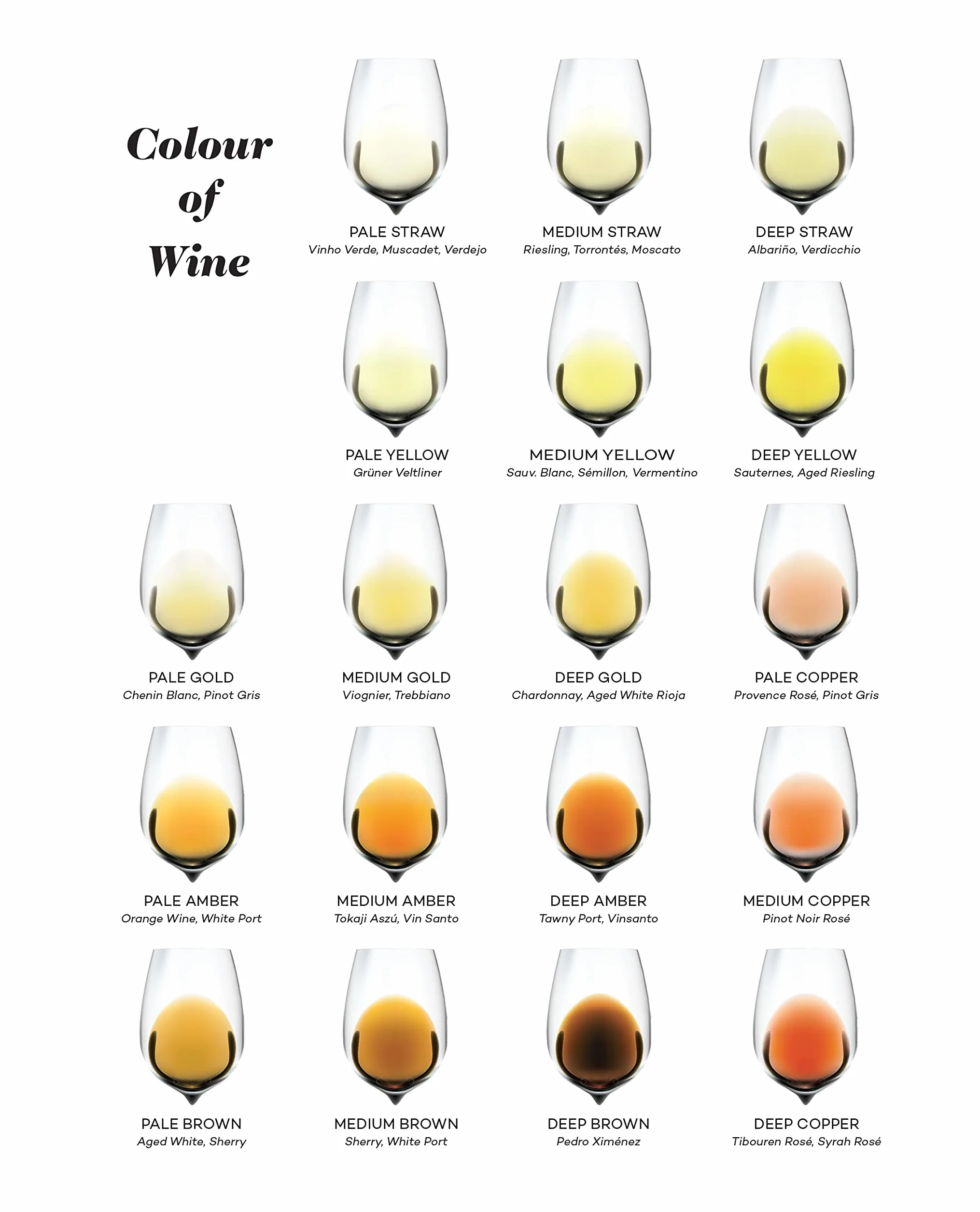Wine Folly Deluxe: The Master Guide