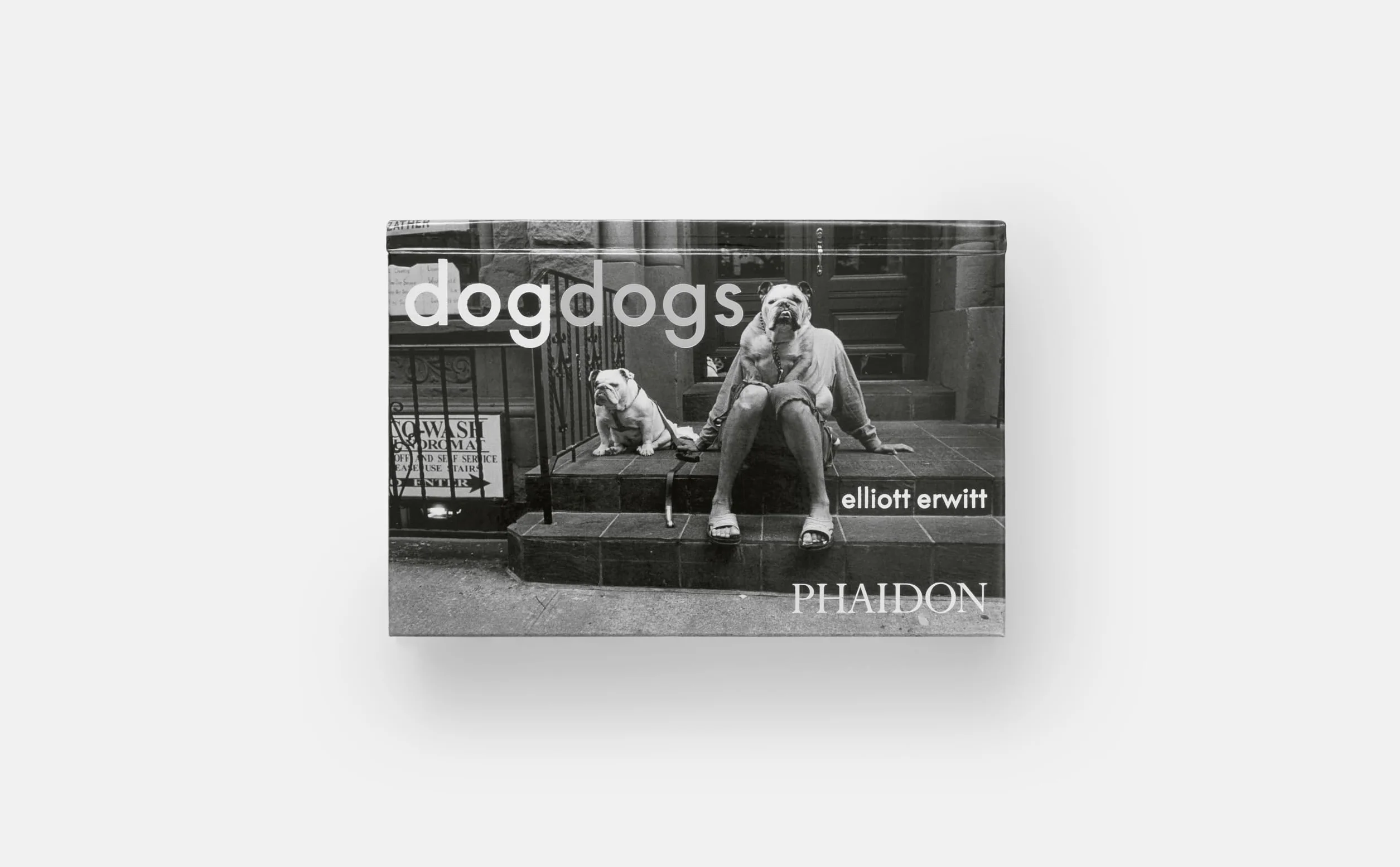 Dogdogs (PHOTOGRAPHY)