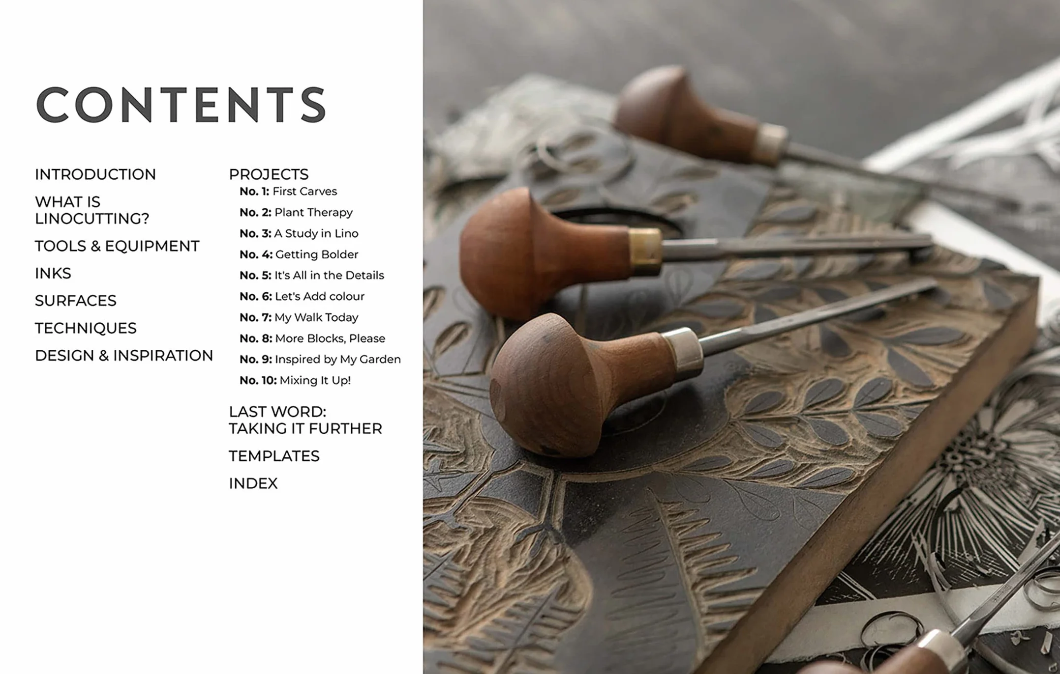 Nature Imprinted: A Complete Guide to Lino Printing, with 10 Nature-Inspired Designs