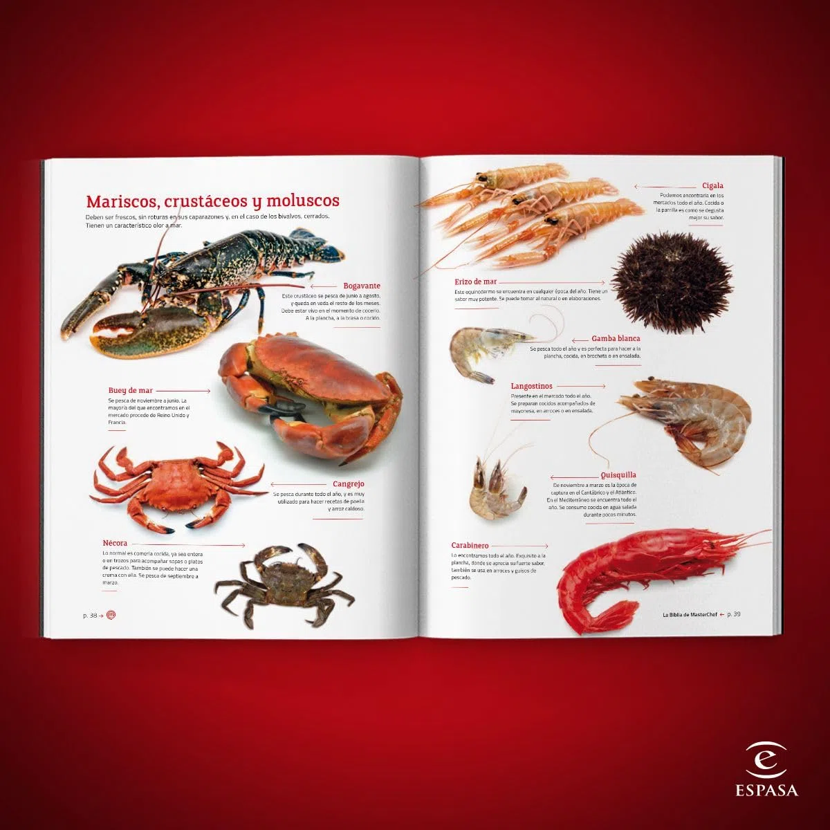 La Biblia de MasterChef (Espasa Gastronomía)