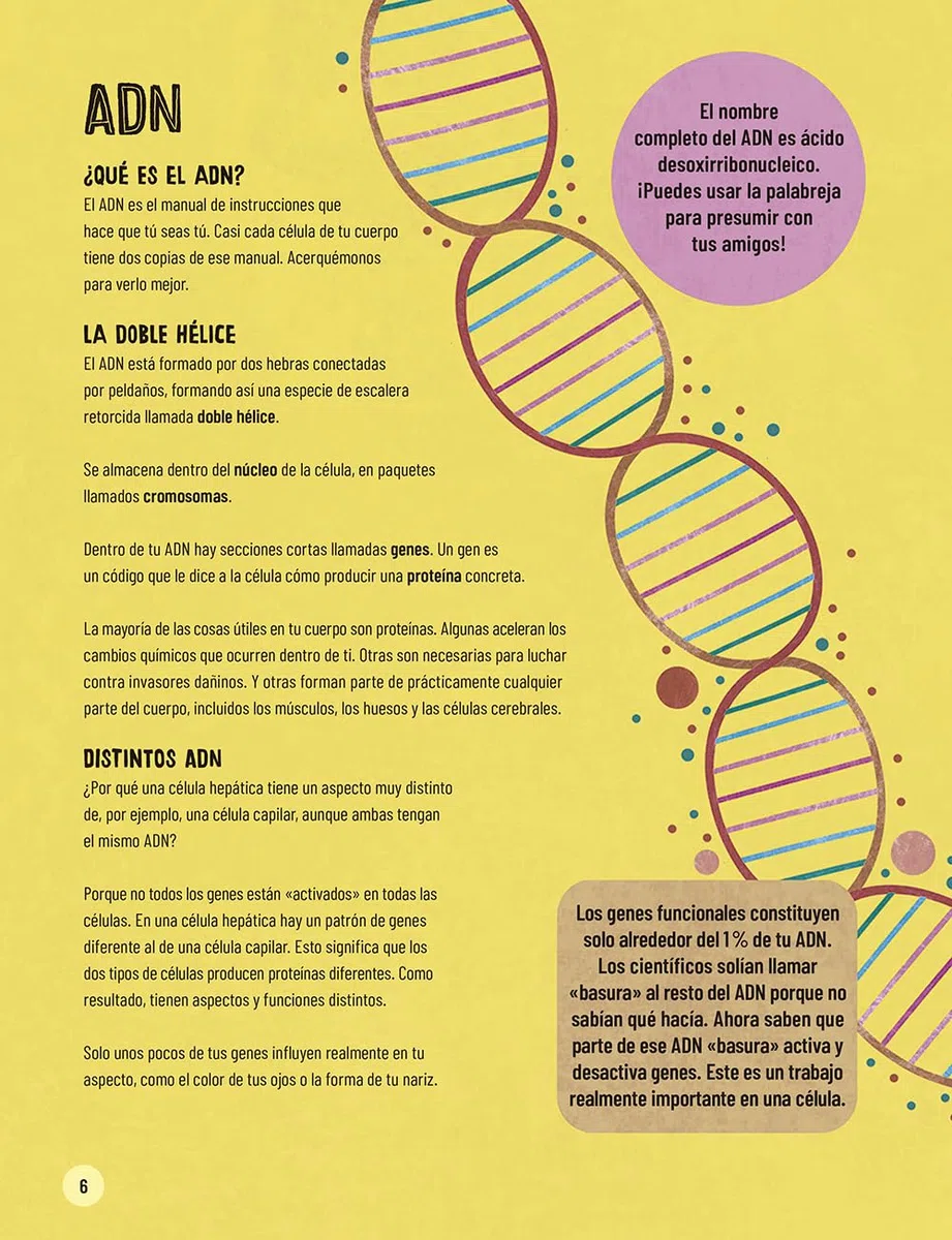 Un muy breve viaje a través del cuerpo: Edición ilustrada de un recorrido apasionante de la cabeza a los pies (Infantil)