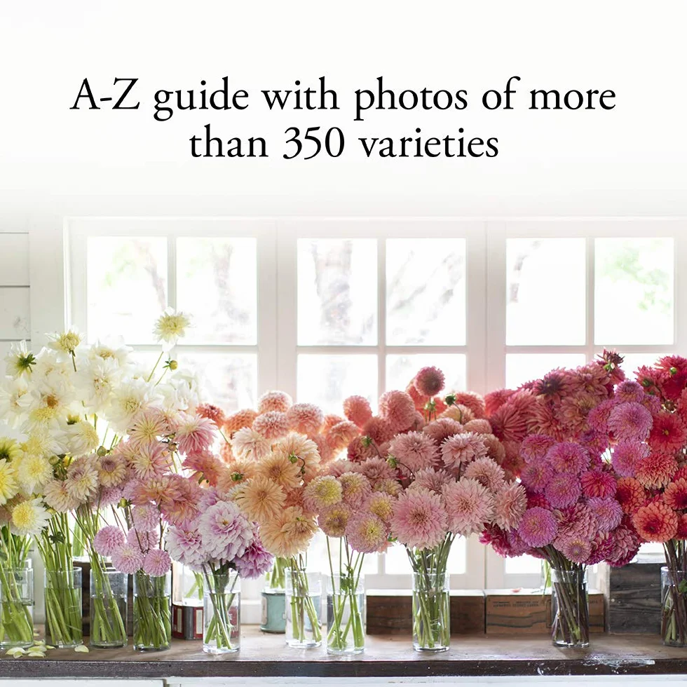 Floret farm's discovering dahlias: a guide to growing and arranging magnifcent blooms