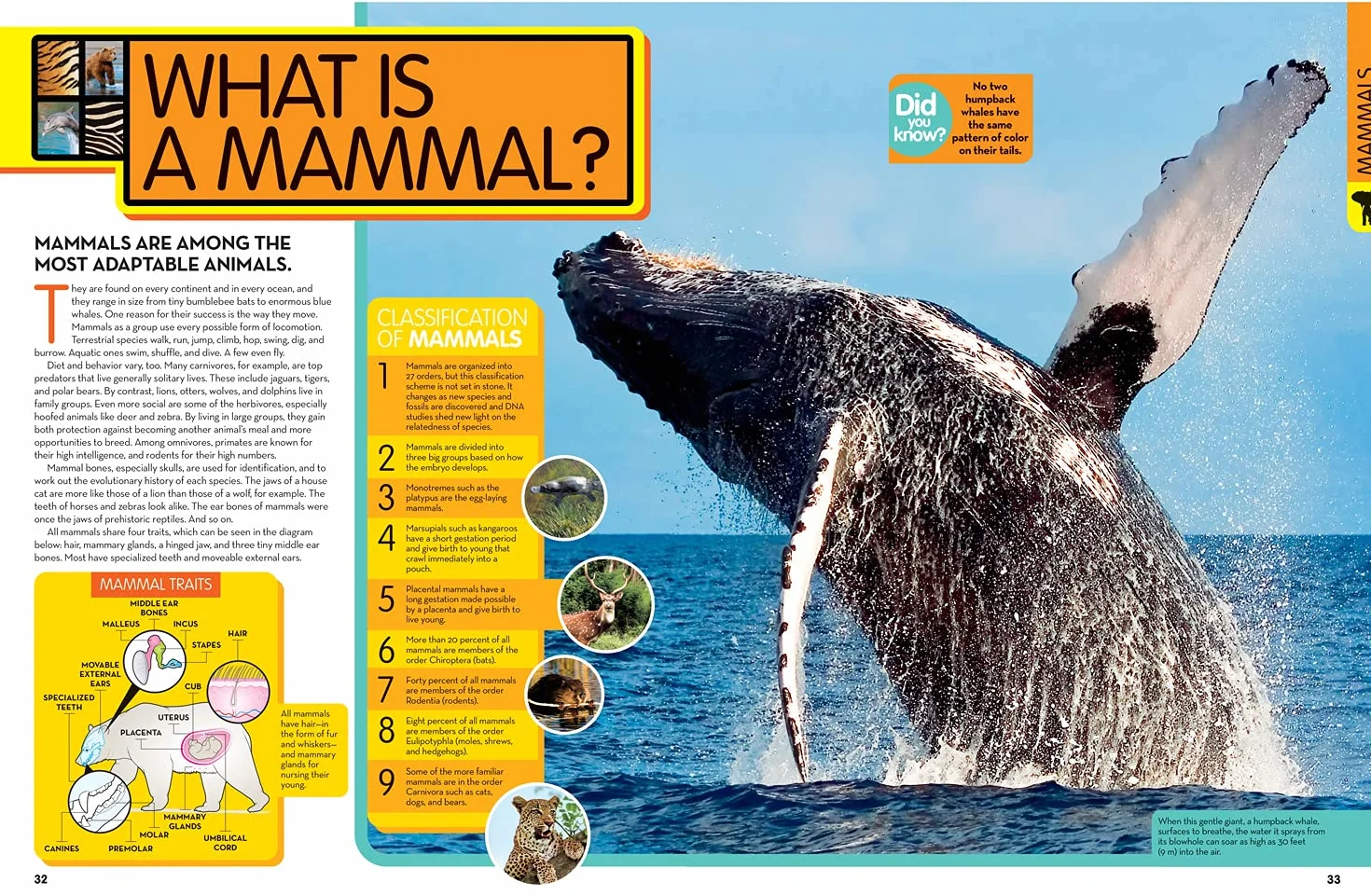 National Geographic Kids Animal Encyclopedia 2nd edition: 2,500 Animals with Photos, Maps, and More!