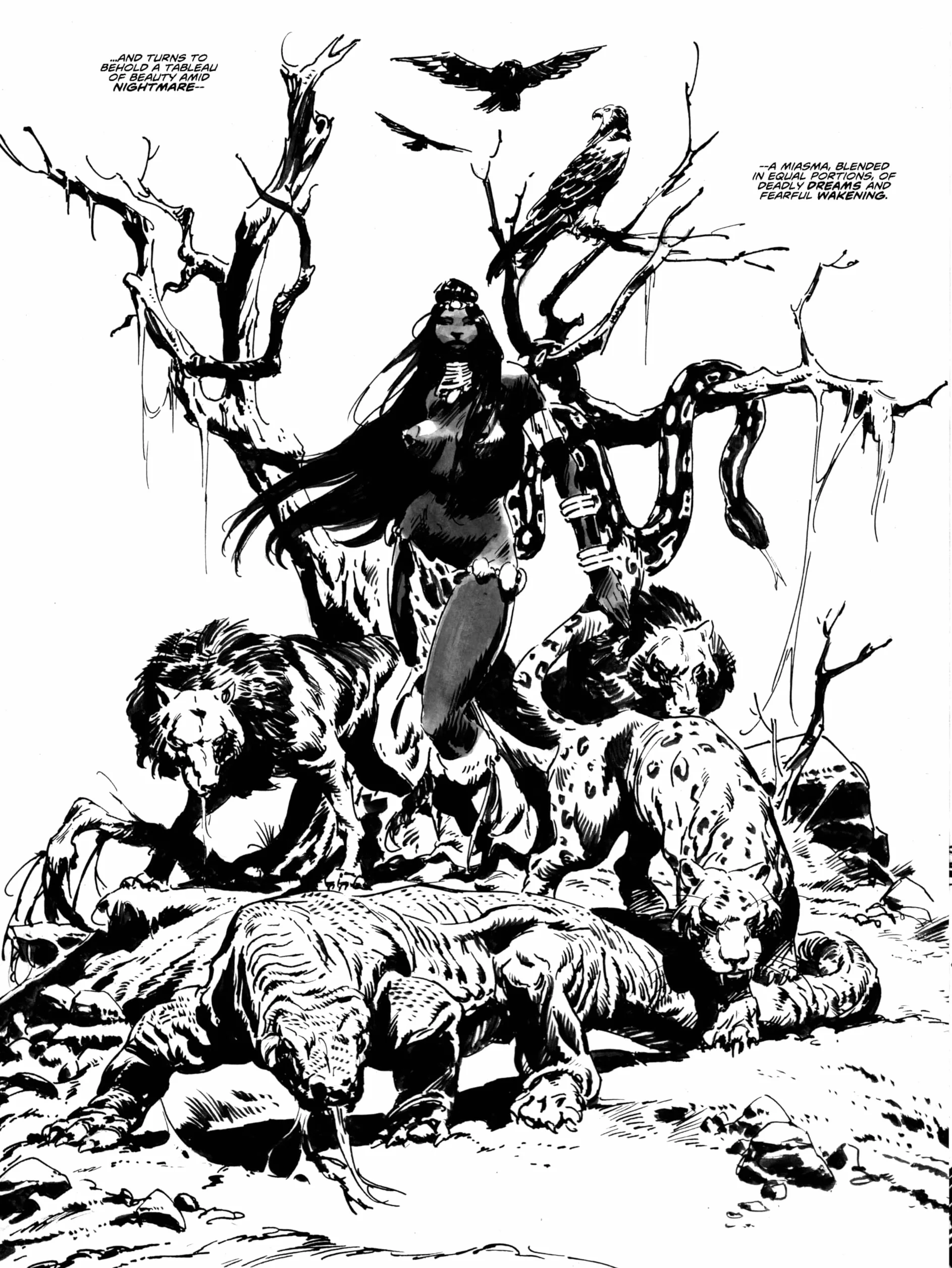 The Savage Sword Of Conan