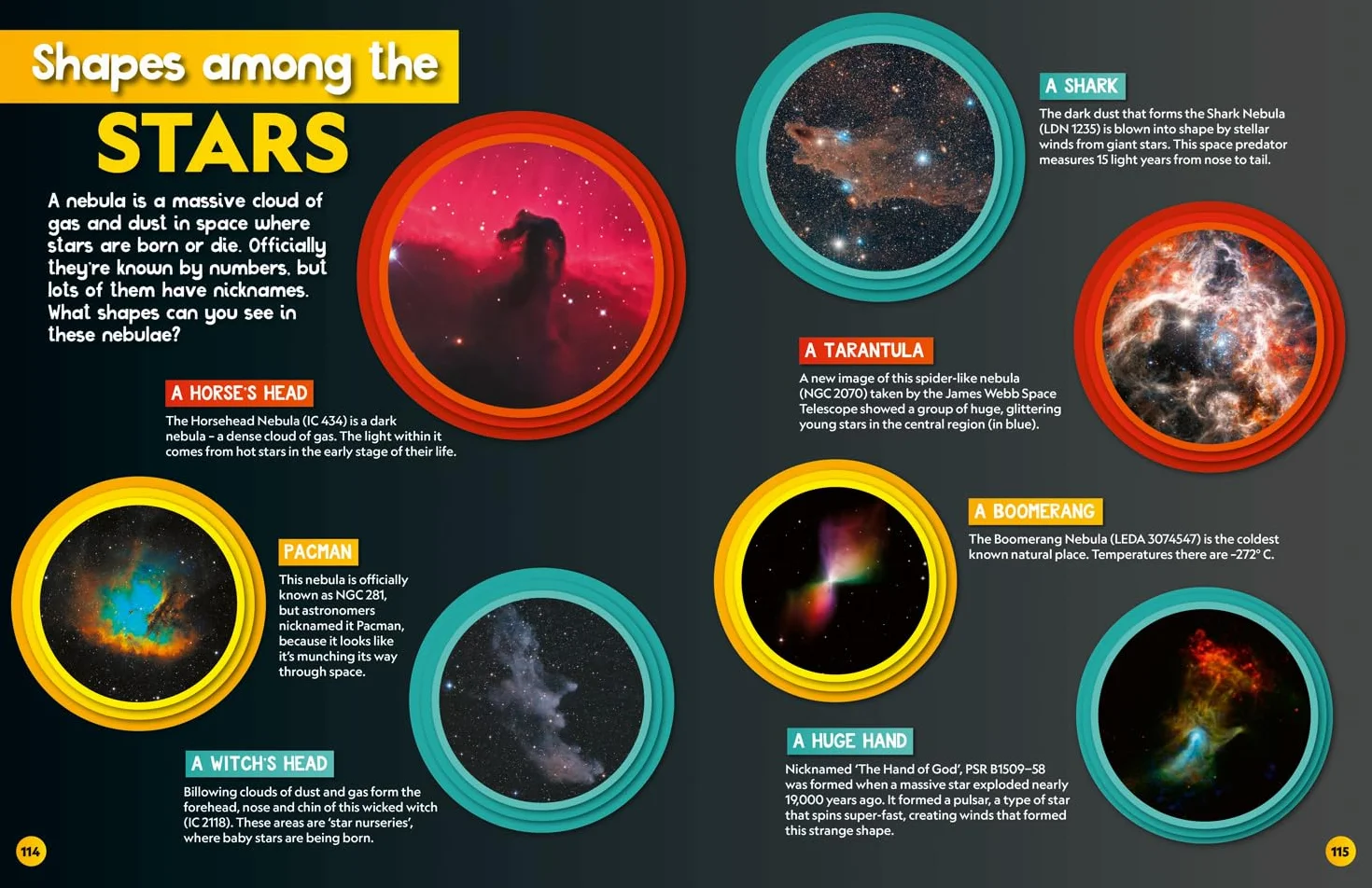 Weird but true! 2026: wild and wacky facts & photos! (National Geographic Kids)
