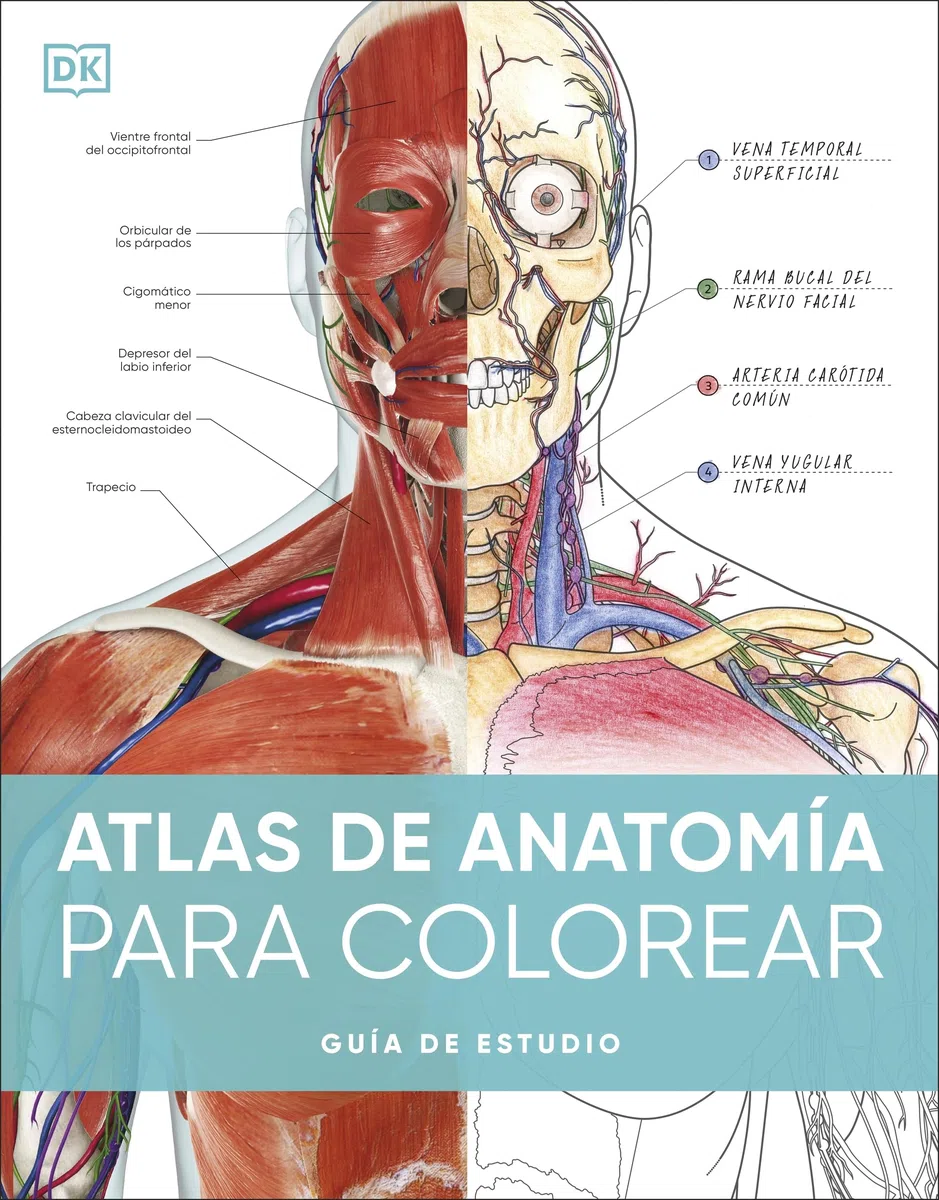 Atlas de anatomía para colorear: Guía de estudio