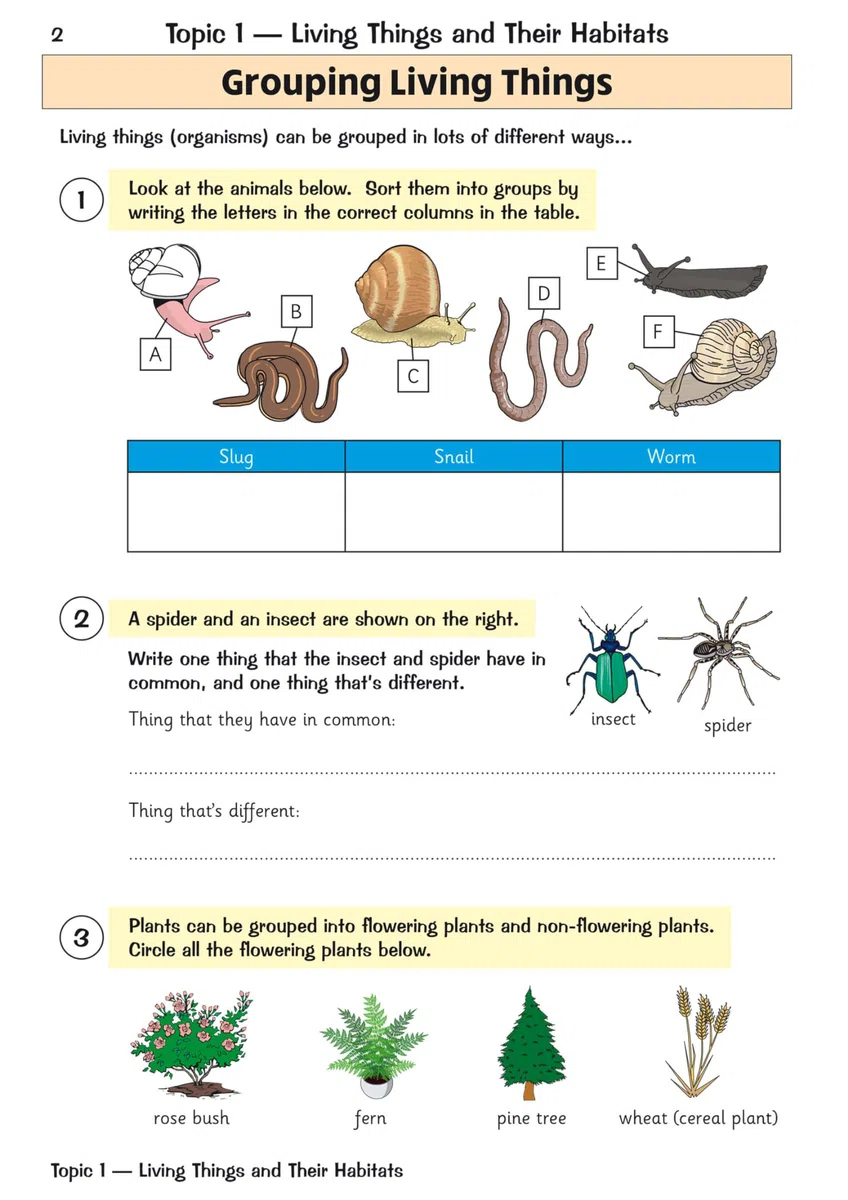 KS2 Science Year 4 Targeted Question Book (includes answers) (CGP Year 4 Science)