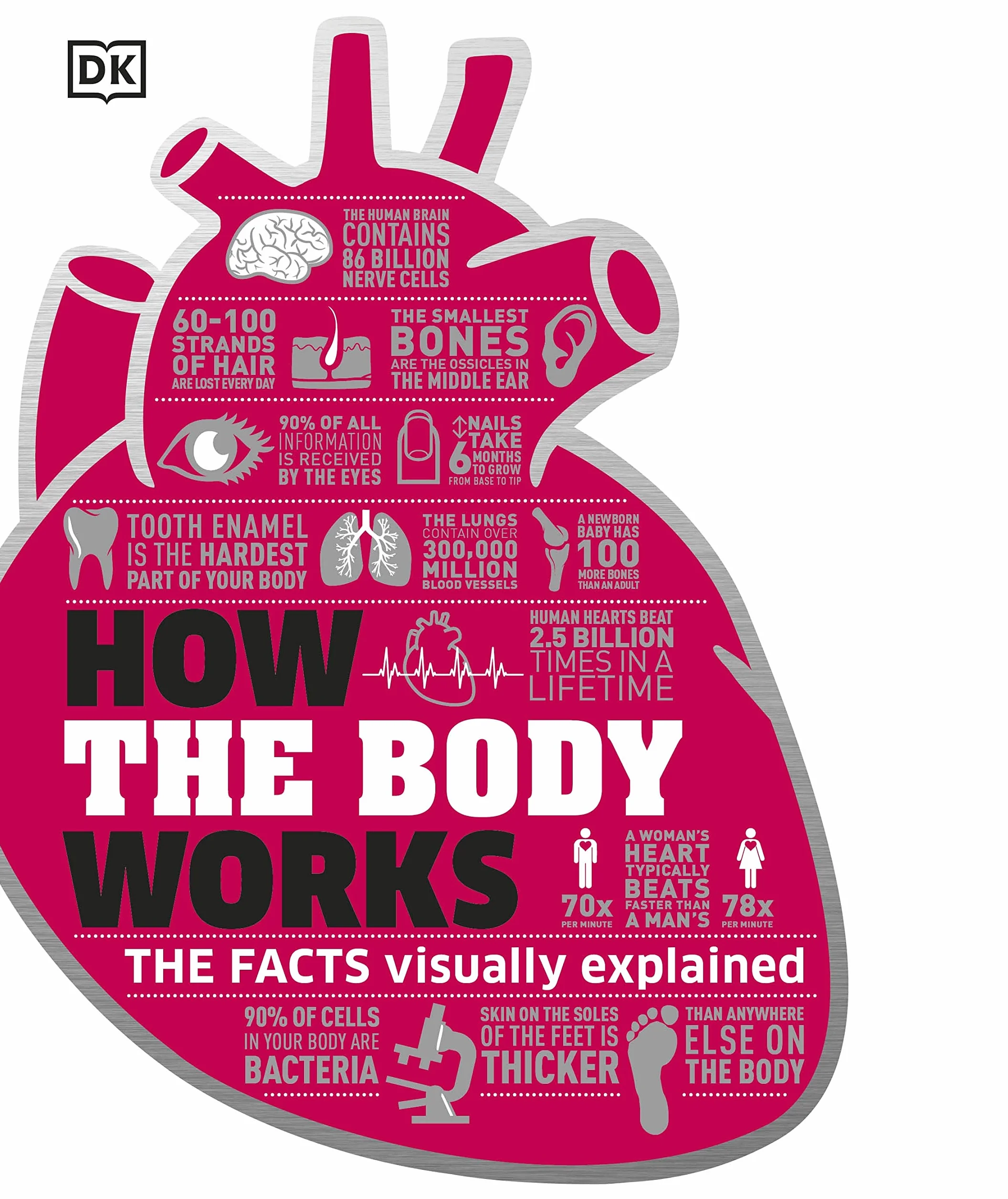How The Body Works: The Facts Simply Explained (DK How Stuff Works)