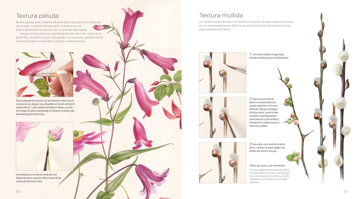 PINTURA BOTÁNICA: Aprende a pintar flores y plantas con acuarela