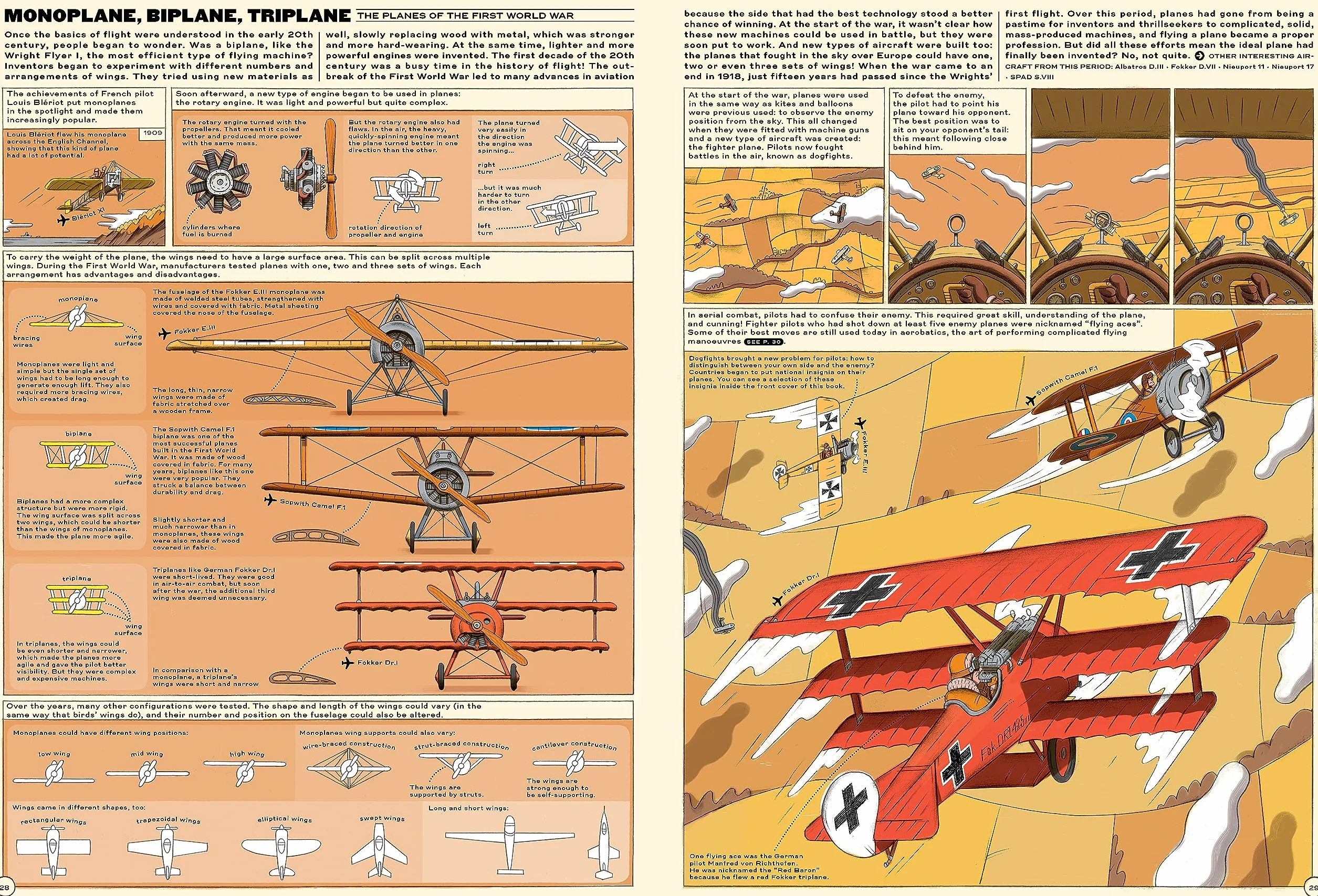 Sky High!: A Soaring History of Aviation