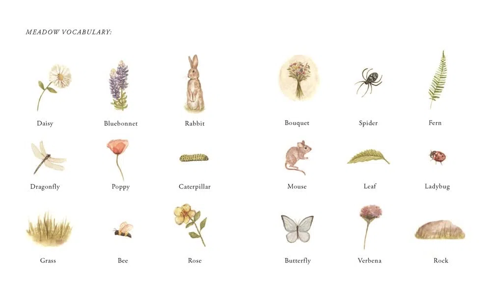 Our Little Adventures: Stories Featuring Foundational Language Concepts for Growing Minds: 1