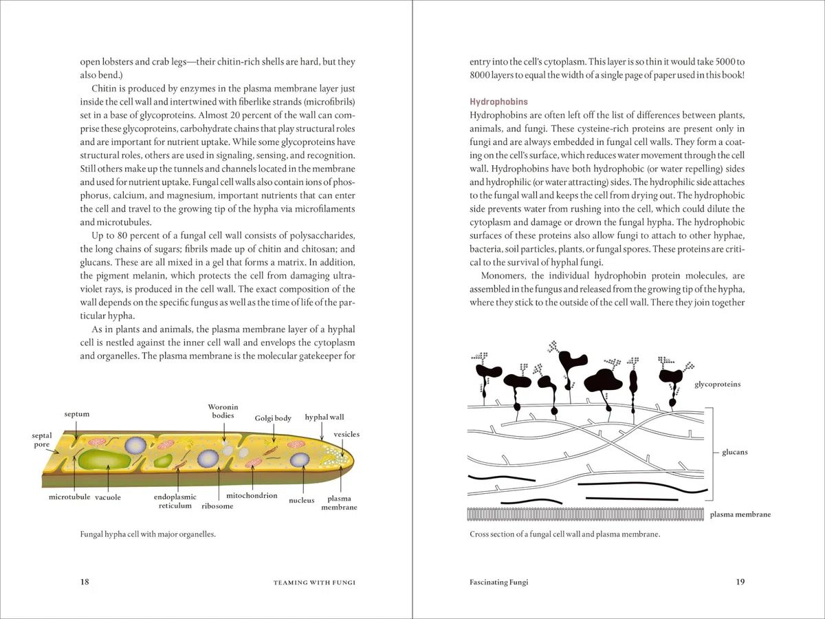 Teaming with Fungi: The Organic Grower's Guide to Mycorrhizae (Science for Gardeners)
