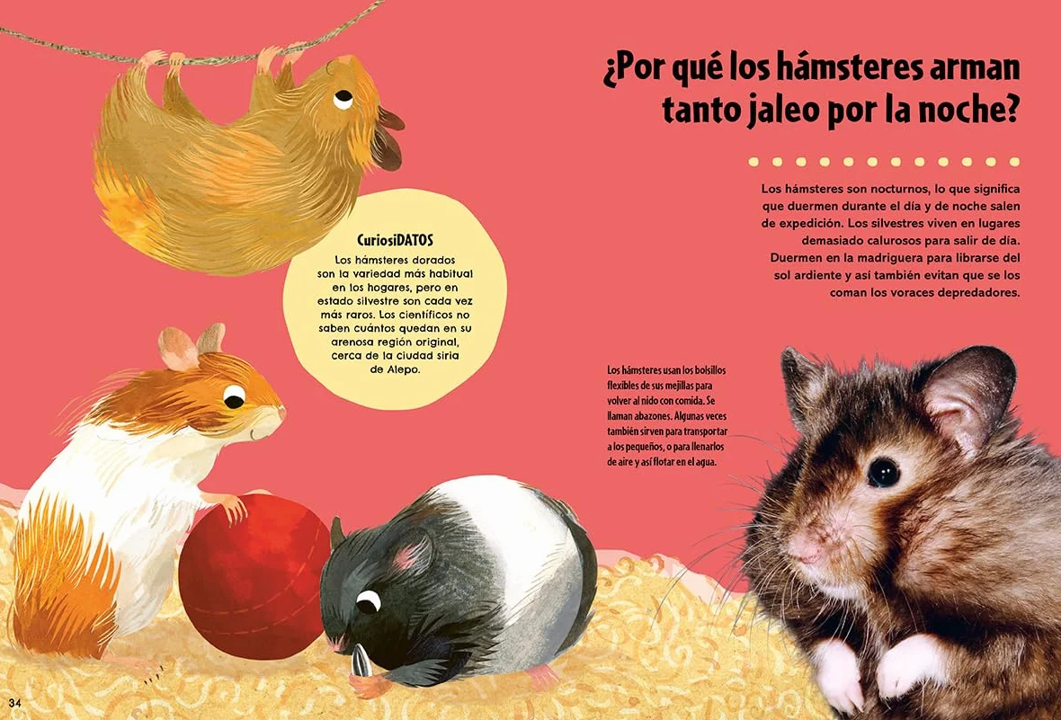 El gran libro de los grandes PORQUÉS: El libro de preguntas y respuestas definitivo para resolver todos los porqués (No ficción ilustrados)
