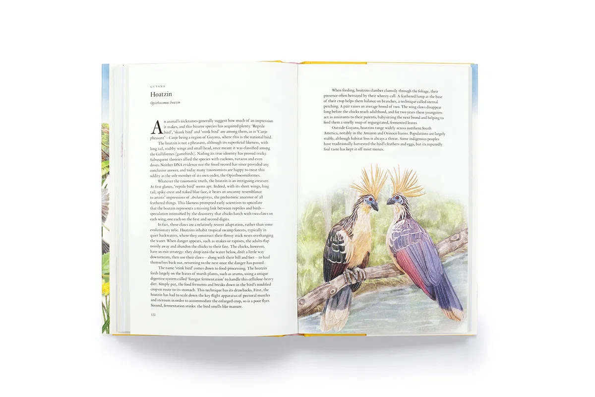 Around the World in 80 Birds (Hardback) /anglais
