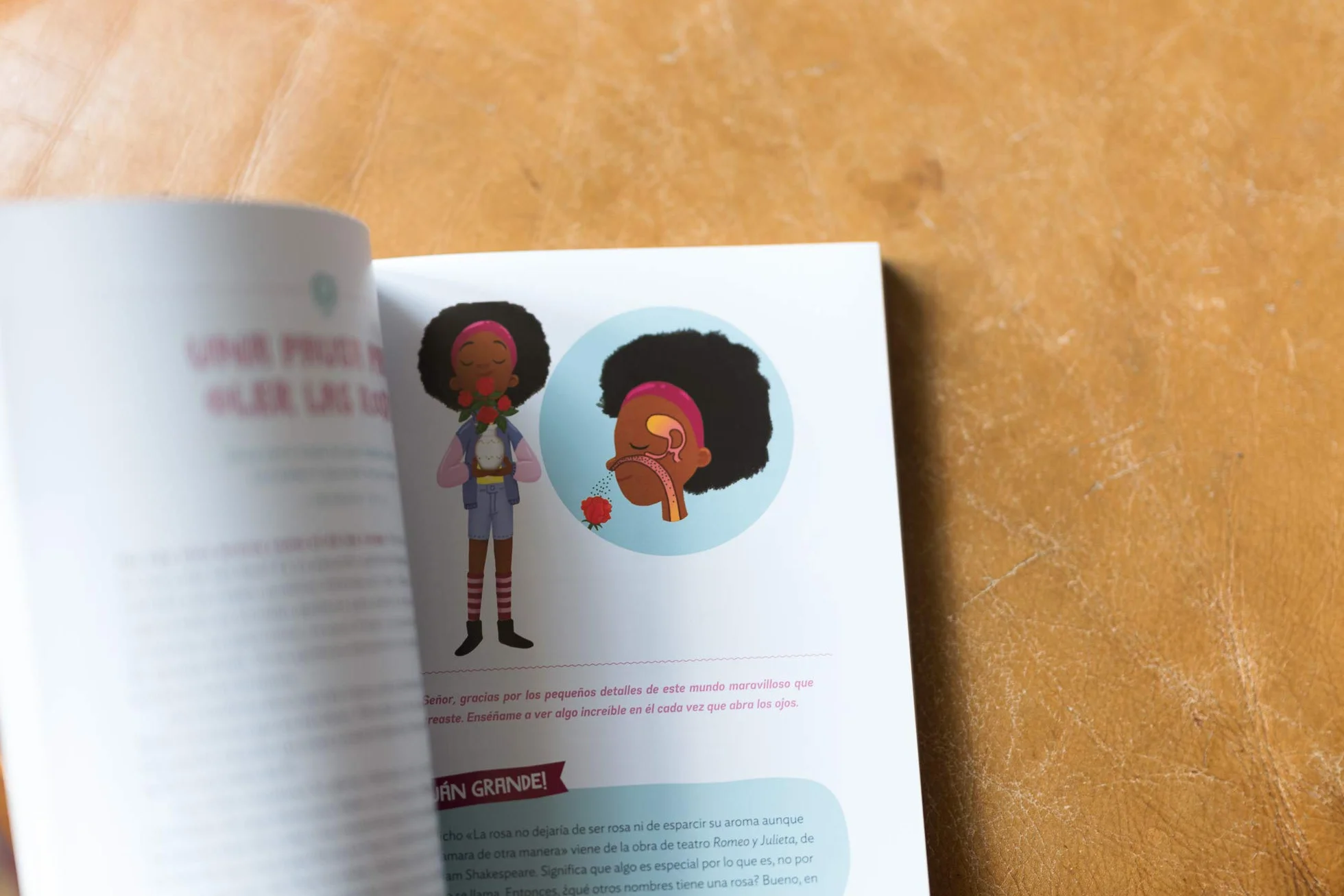 ¡Cuán grande es nuestro Dios!: 100 Devocionales indescriptibles acerca de Dios y la ciencia (Indescribable Kids)
