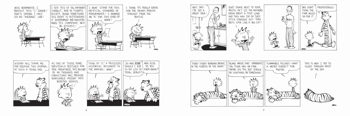 Calvin and Hobbes Portable Compendium Set 6: Volume 6