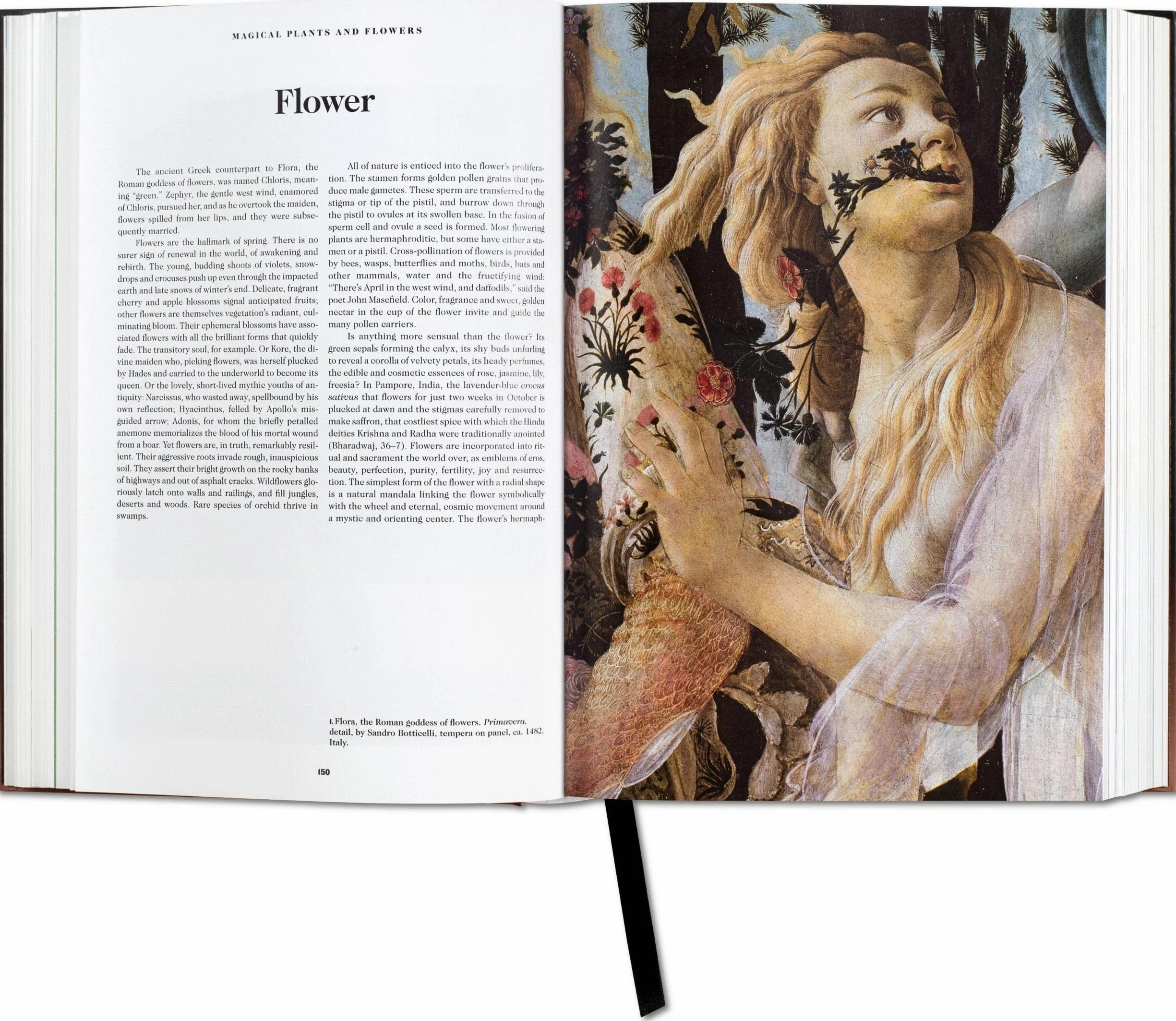 Le livre des symboles: Réflexions sur des images archétypales