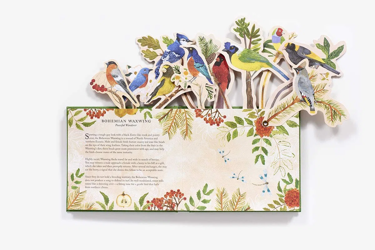 Birds In A Book. A Bouquet In A Book: Jacket Comes Off. Branches Pop Up. Display Like a Bouquet!