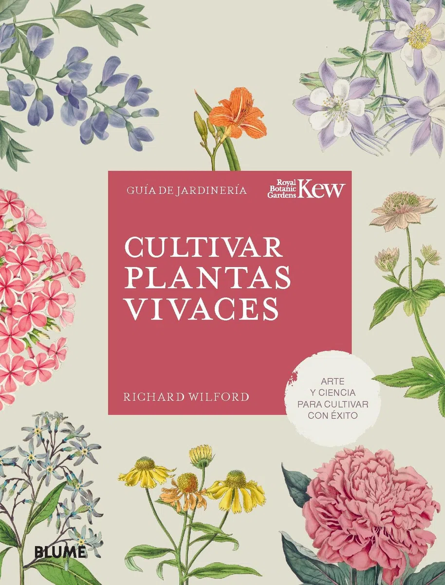 Cultivar plantas vivaces (JARDIN)