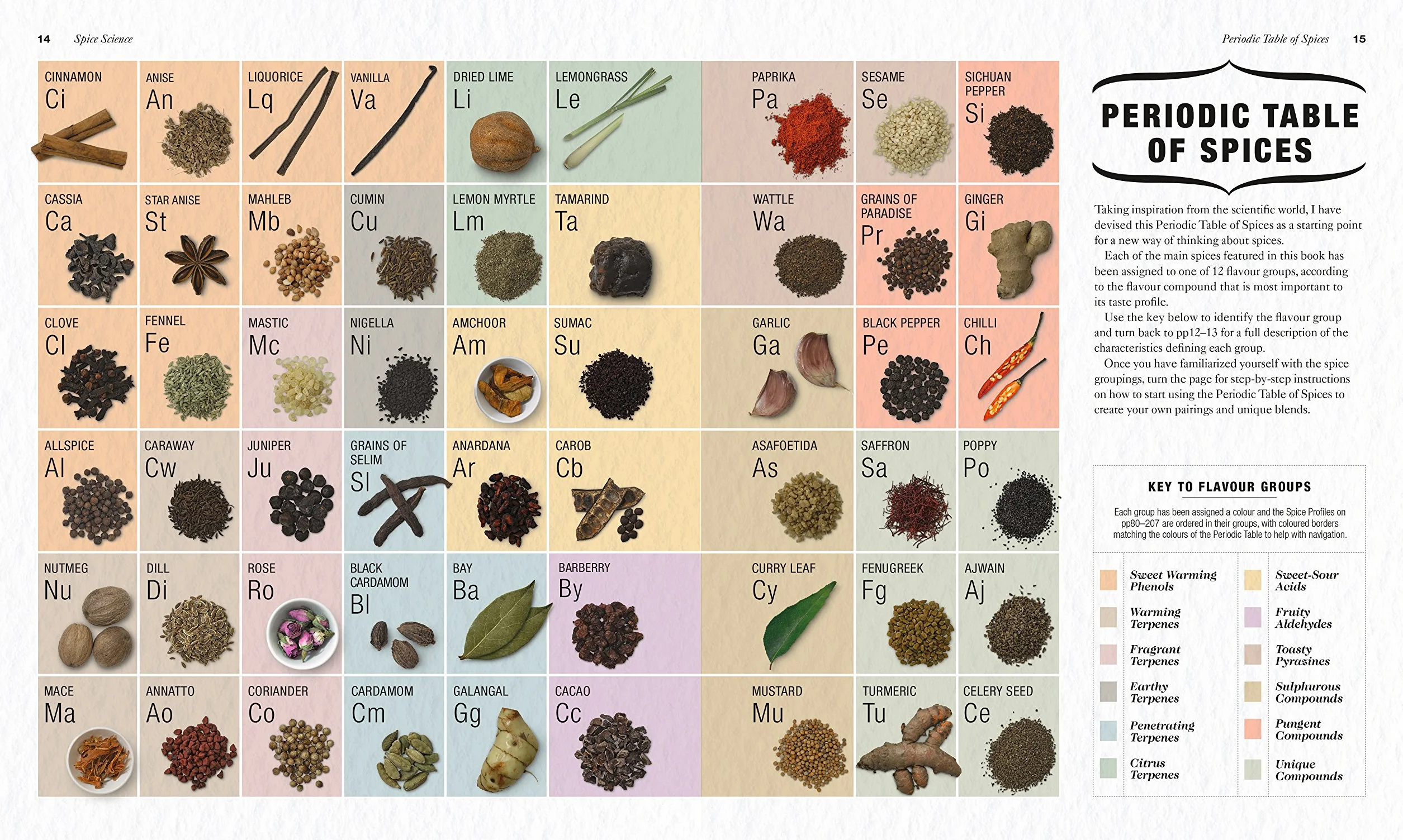 The Science of Spice: Understand Flavour Connections and Revolutionize your Cooking (The Science of Food)