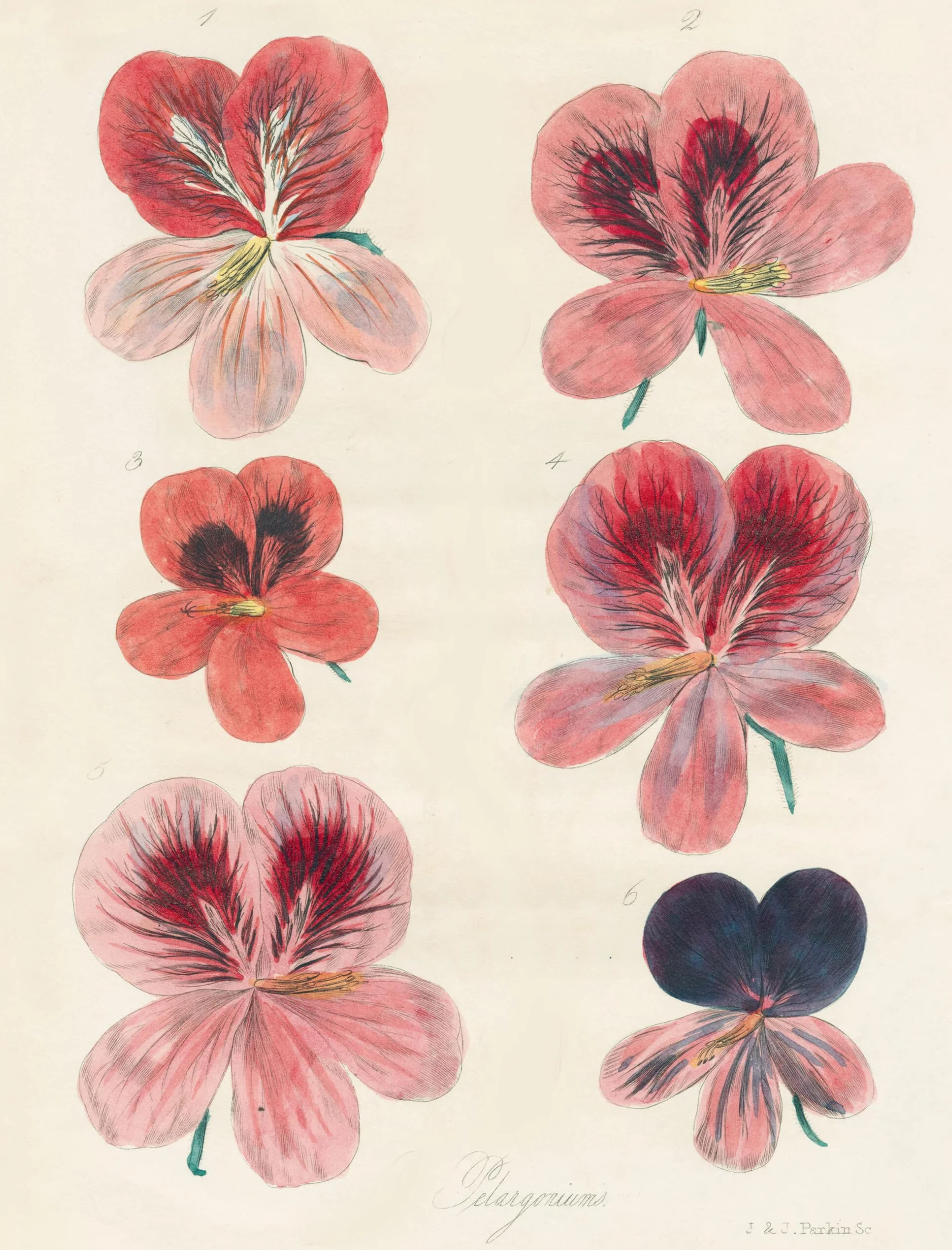 Wrapping Paper & Gift Tags: John Derian Paper Goods