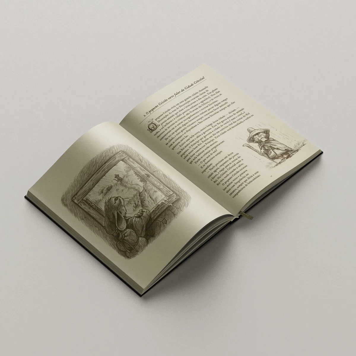 O pequeno peregrino ilustrado